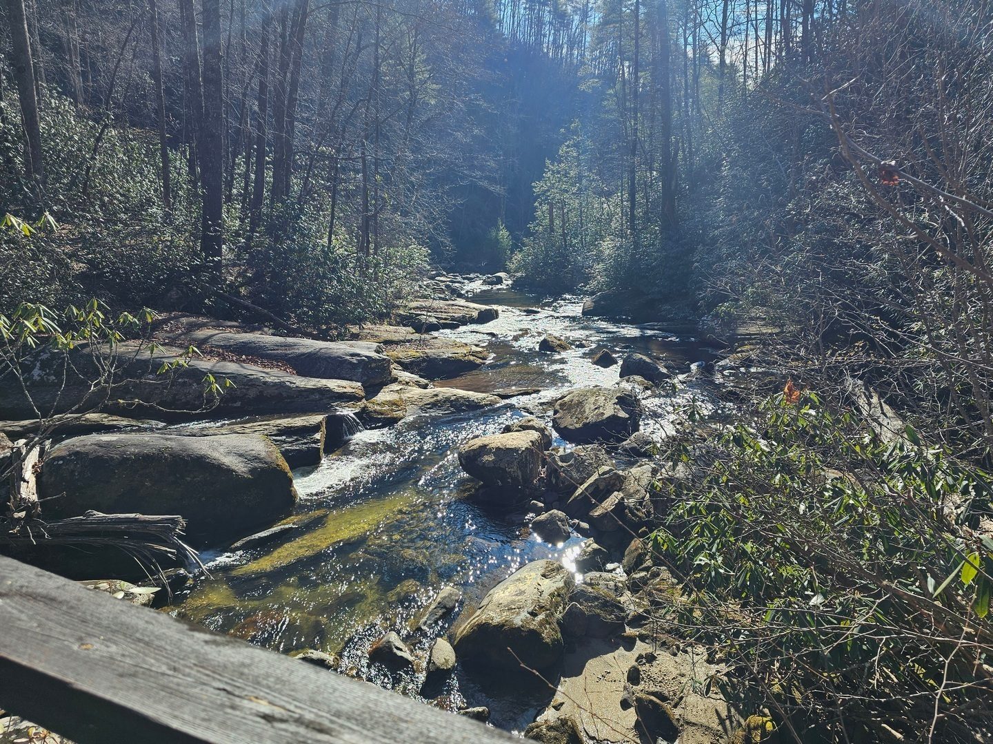 A view down the Thompson River from the bridge.