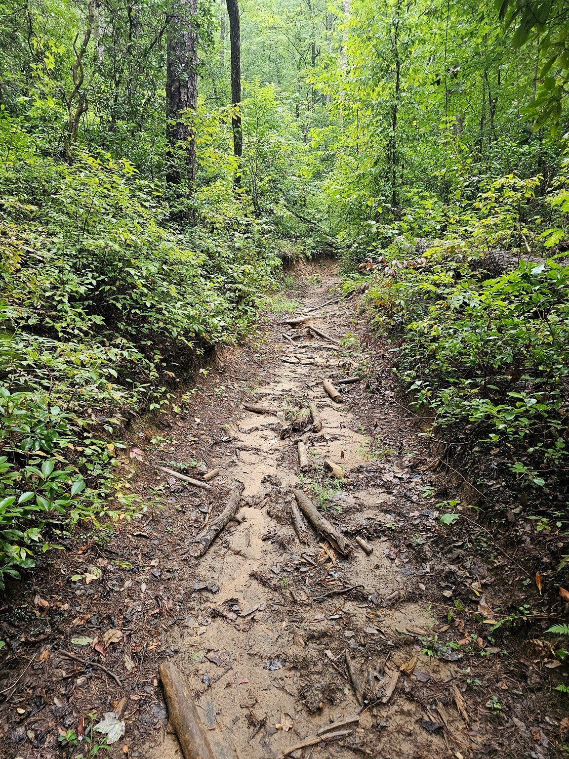 The trail conditions varied greatly throughout the hike.