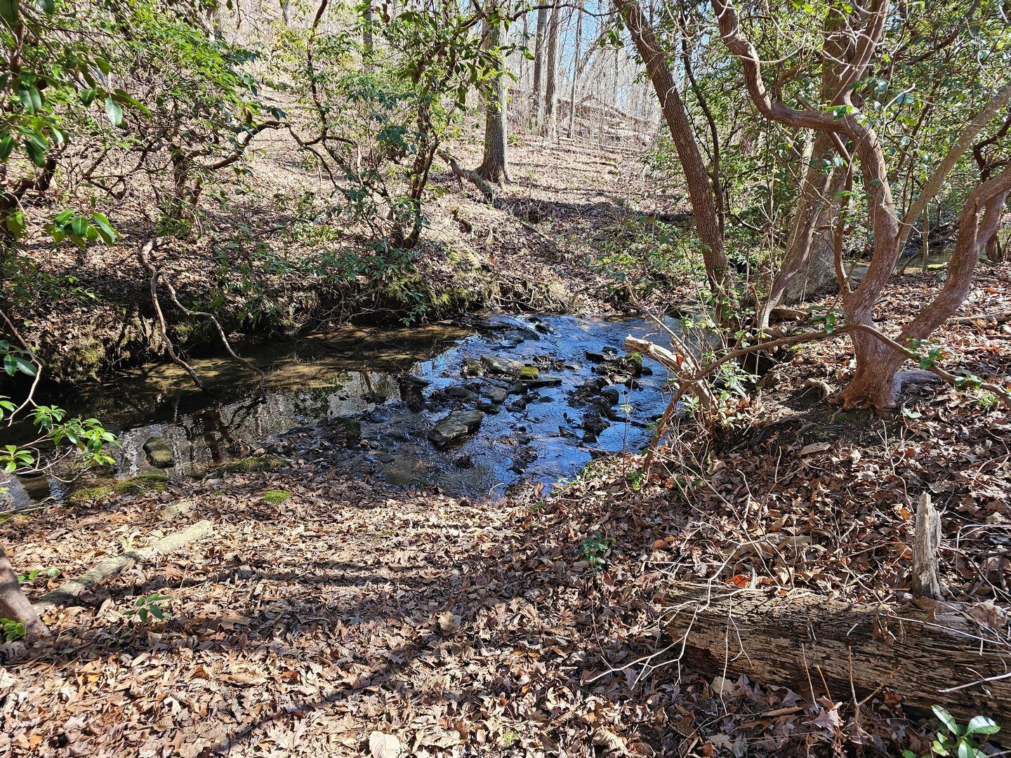 Not a difficult crossing of the creek above Tabor Falls across some stones in the creek.