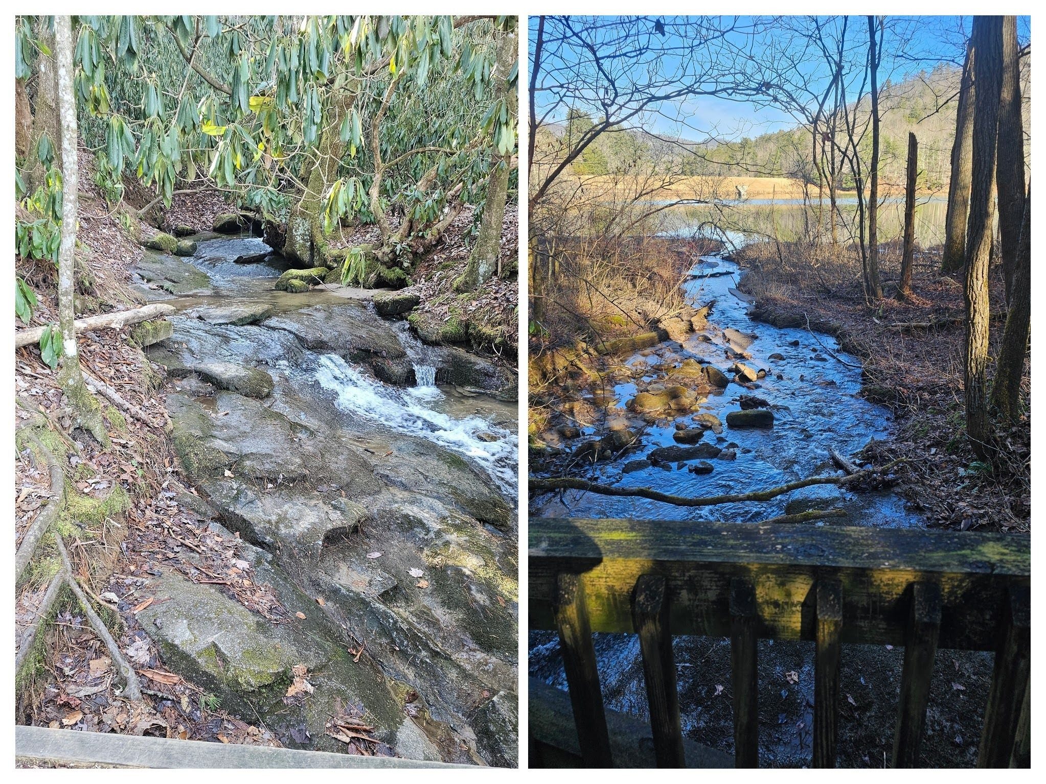 The recent rains have led to some scenic water flows in Taylors Creek flowing into the lake.
