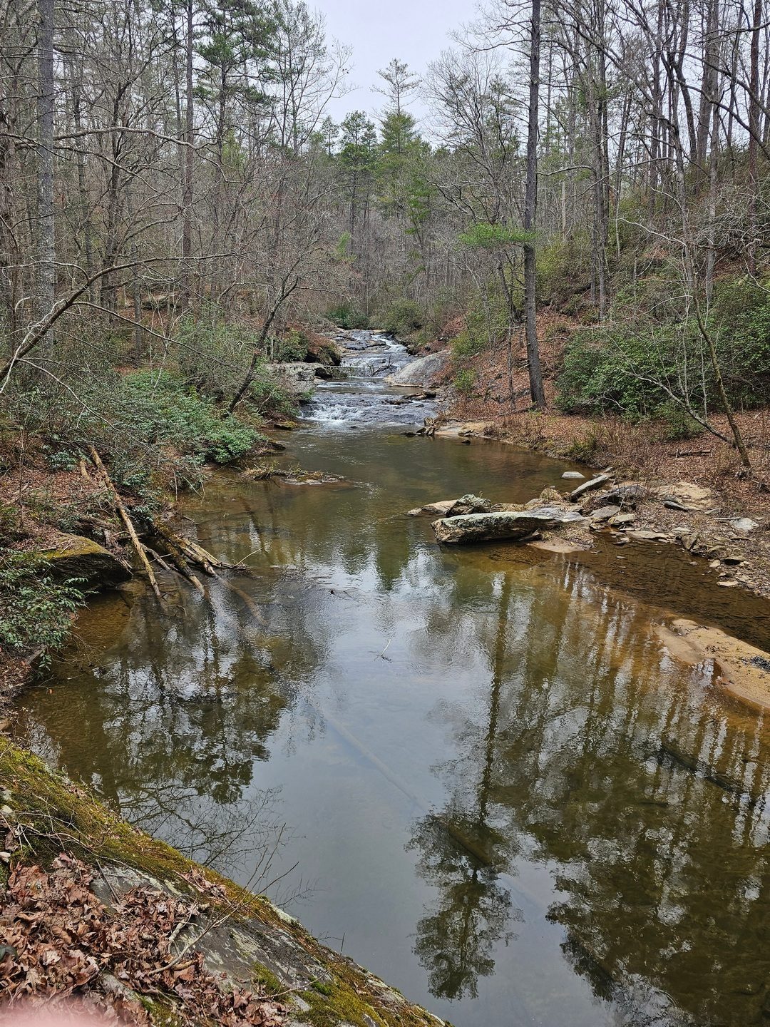 Another view of Upper Panther Creek Waterfall with reflections in the creek.