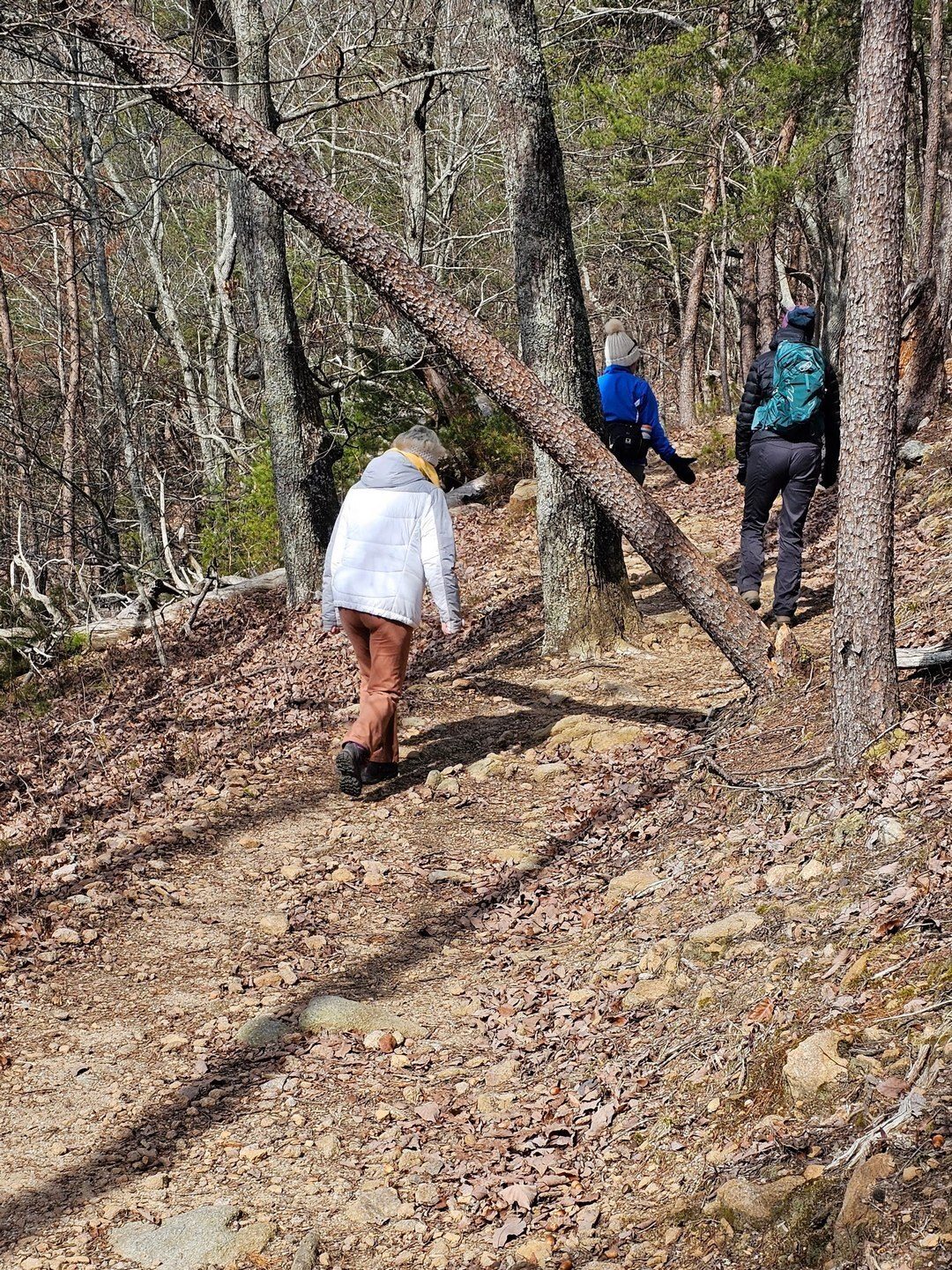 It's a bit rocky for the first 1.6 miles, but not really that bad.