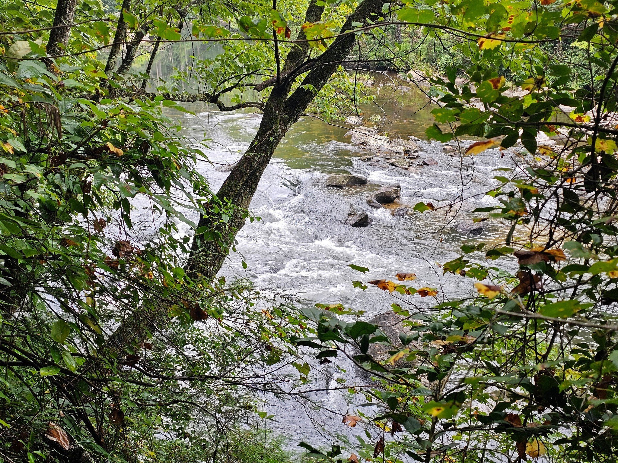 Hey, there are some rapids along this section of the Chattooga River.