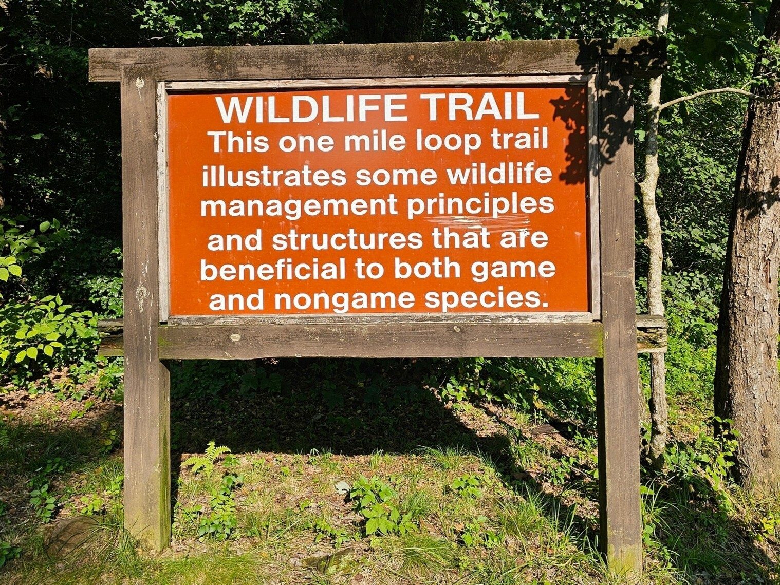 Our starting point, Moccasin Creek Wildlife Trail