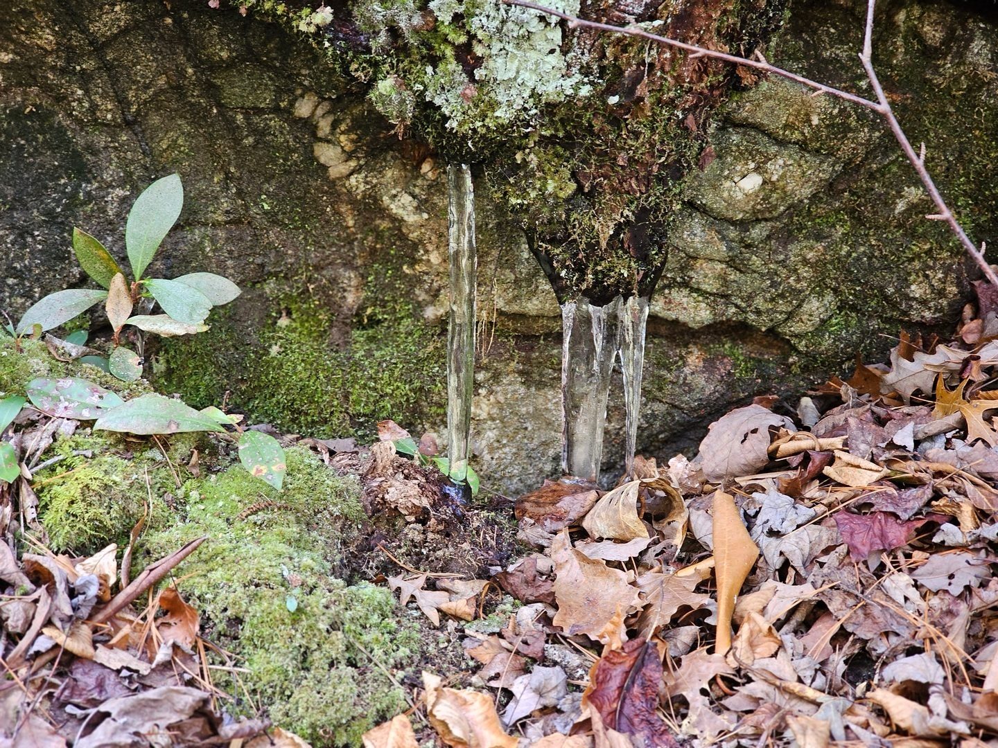The cold was hanging on in the shade even though the temperatures had risen to near 55 degrees.