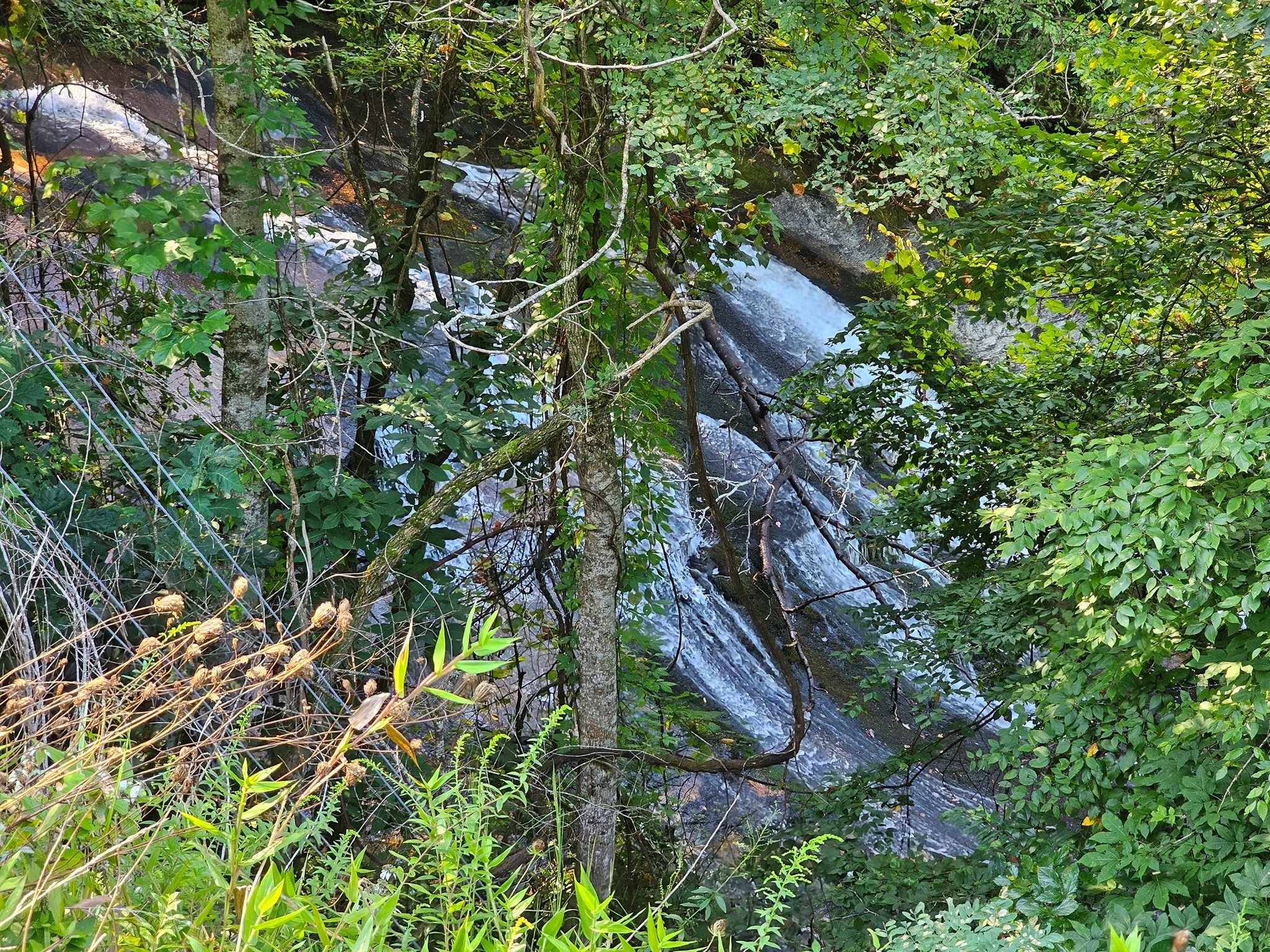 We pass by a cascade which we later find out is the upper side of the Lower Estatoah Falls on Mud Creek.
