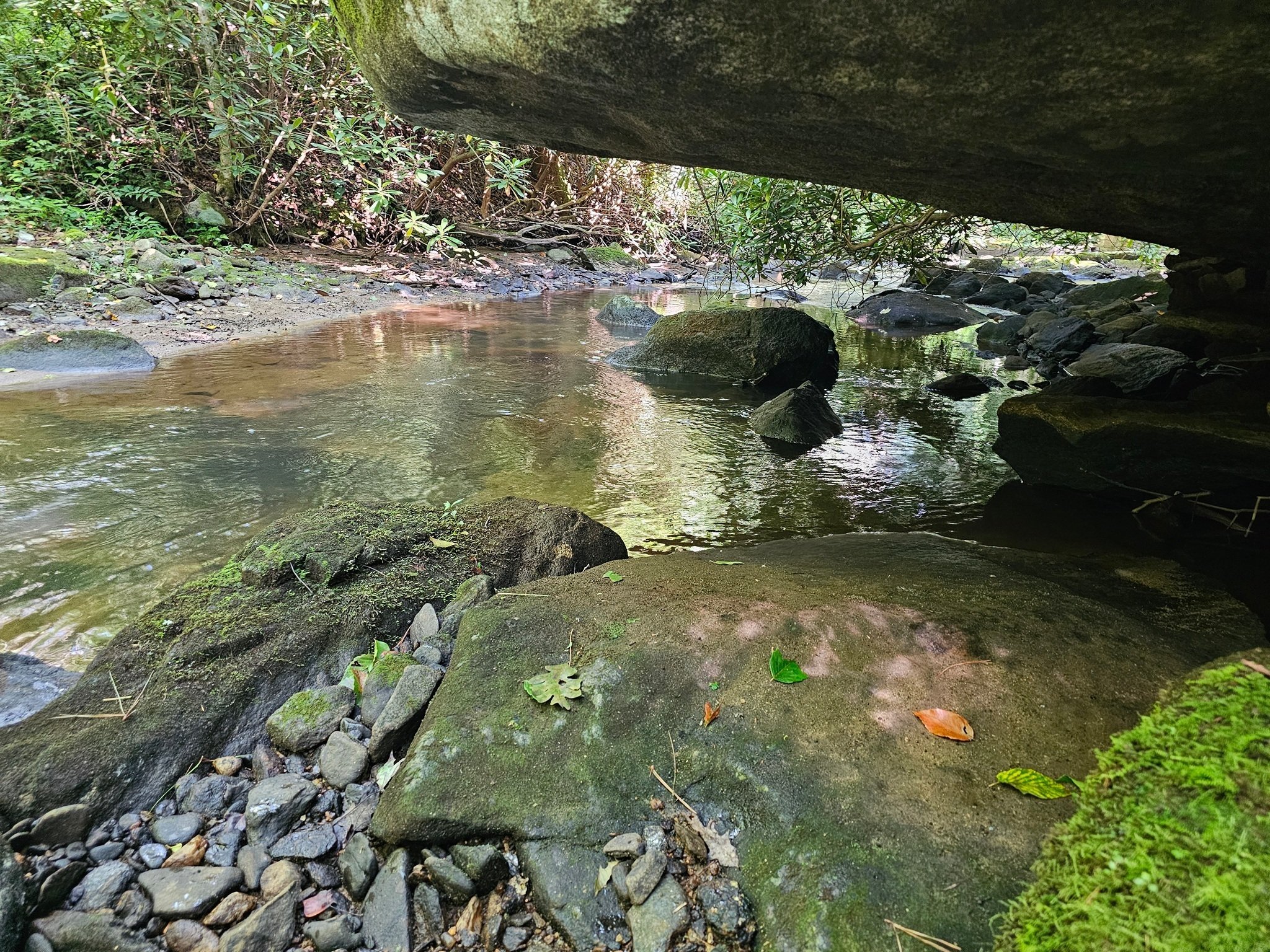 An interesting view down Mud Creek under a boulder ledge.