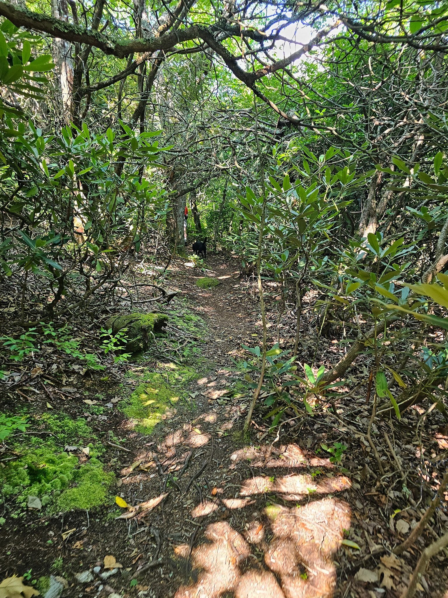 A bit of uphill walking but not bad.
