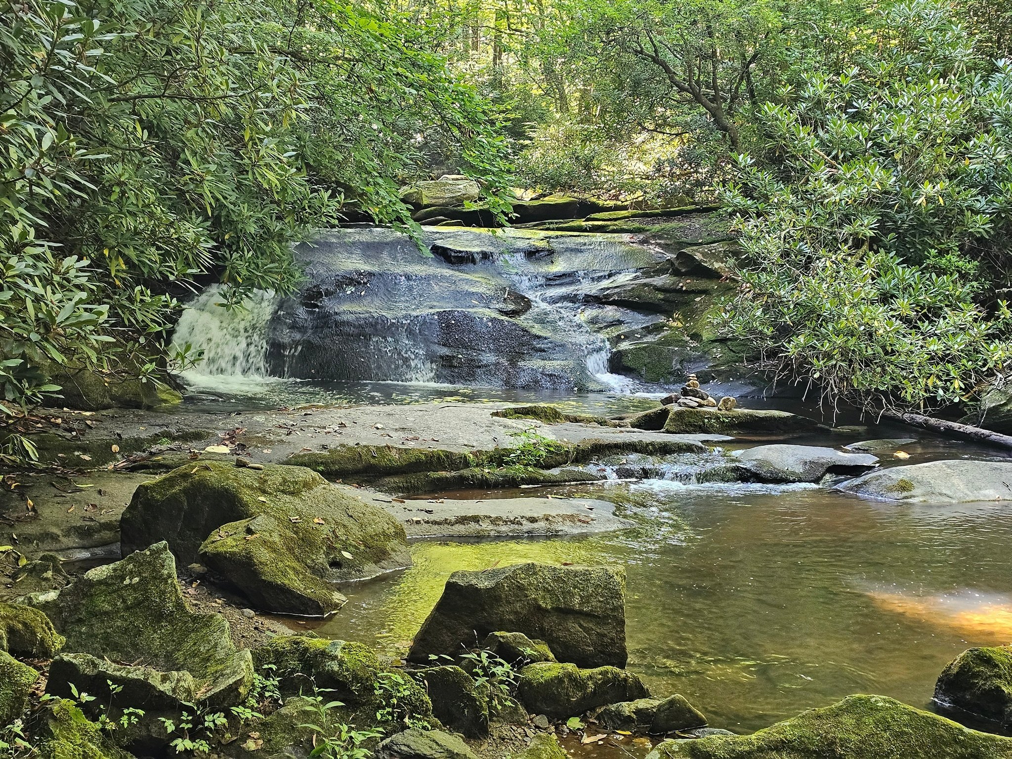 Further up Mud Creek, we find a side trail to a beautiful cascade on Mud Creek.