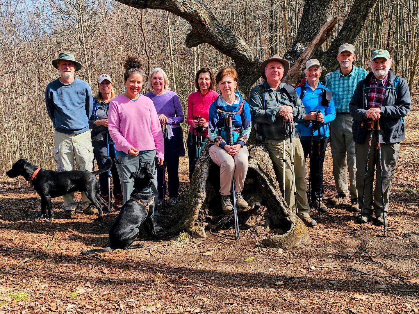 Today Hikers (L-R): Matt & Toby, Lynn, Heather & Toby, Angela, Allyson, Jenny, John, Linda, Mike & Jack.
