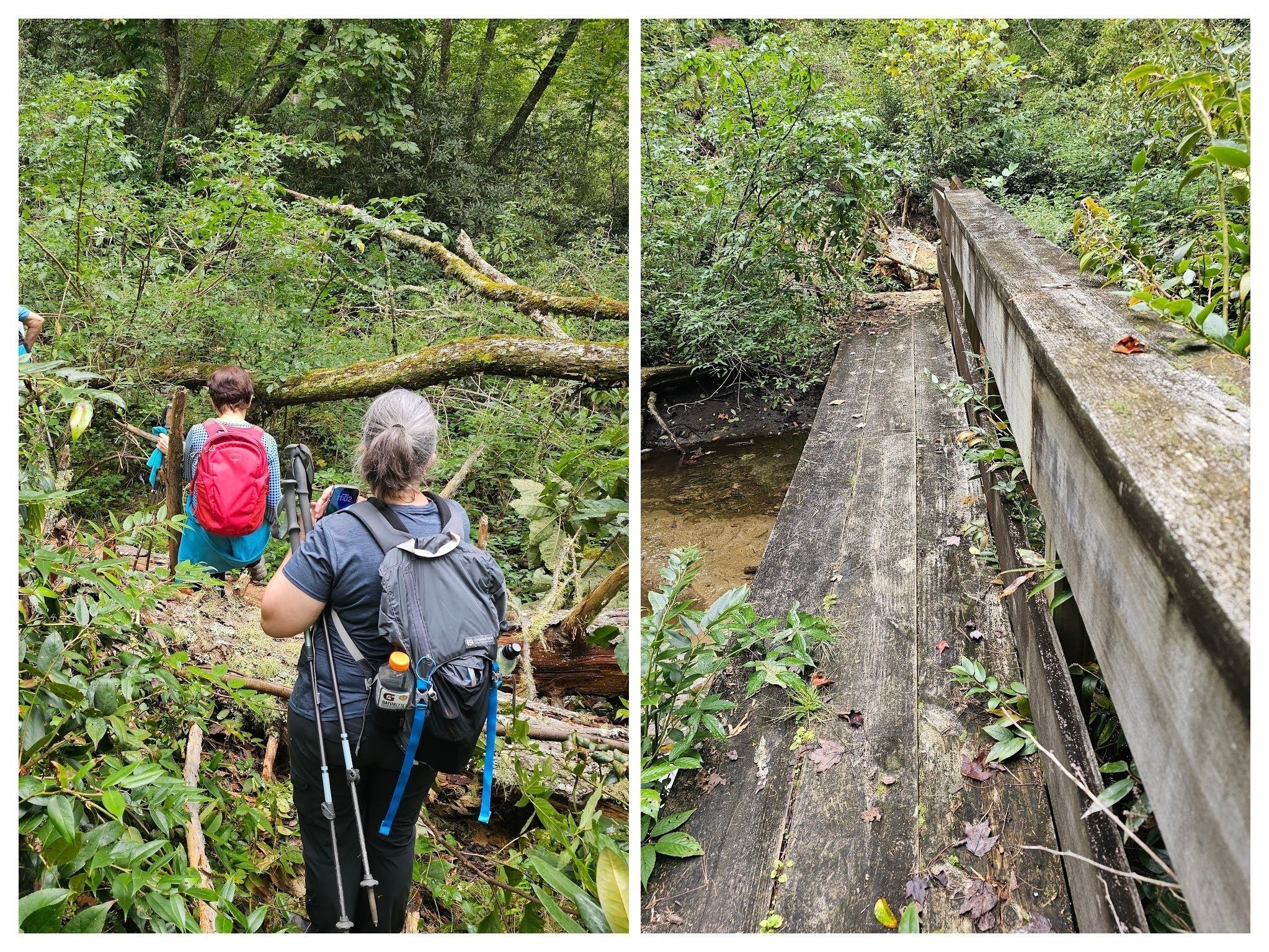 Access to the bridge over Skitty Creek from the north is a mess and the bridge itself isn't too great either.