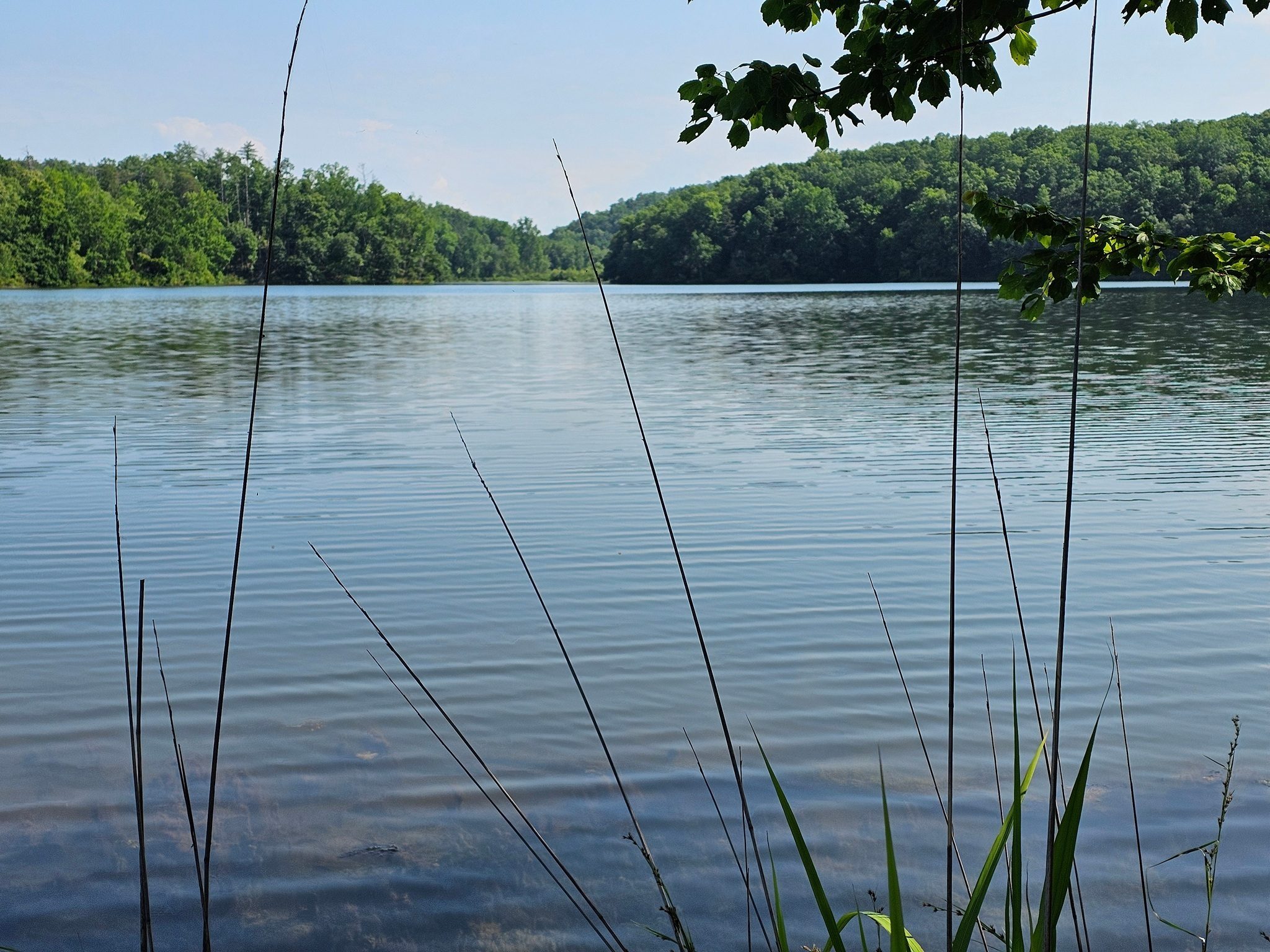 Another view of Issaqueena Lake as we walk this section of the trail.