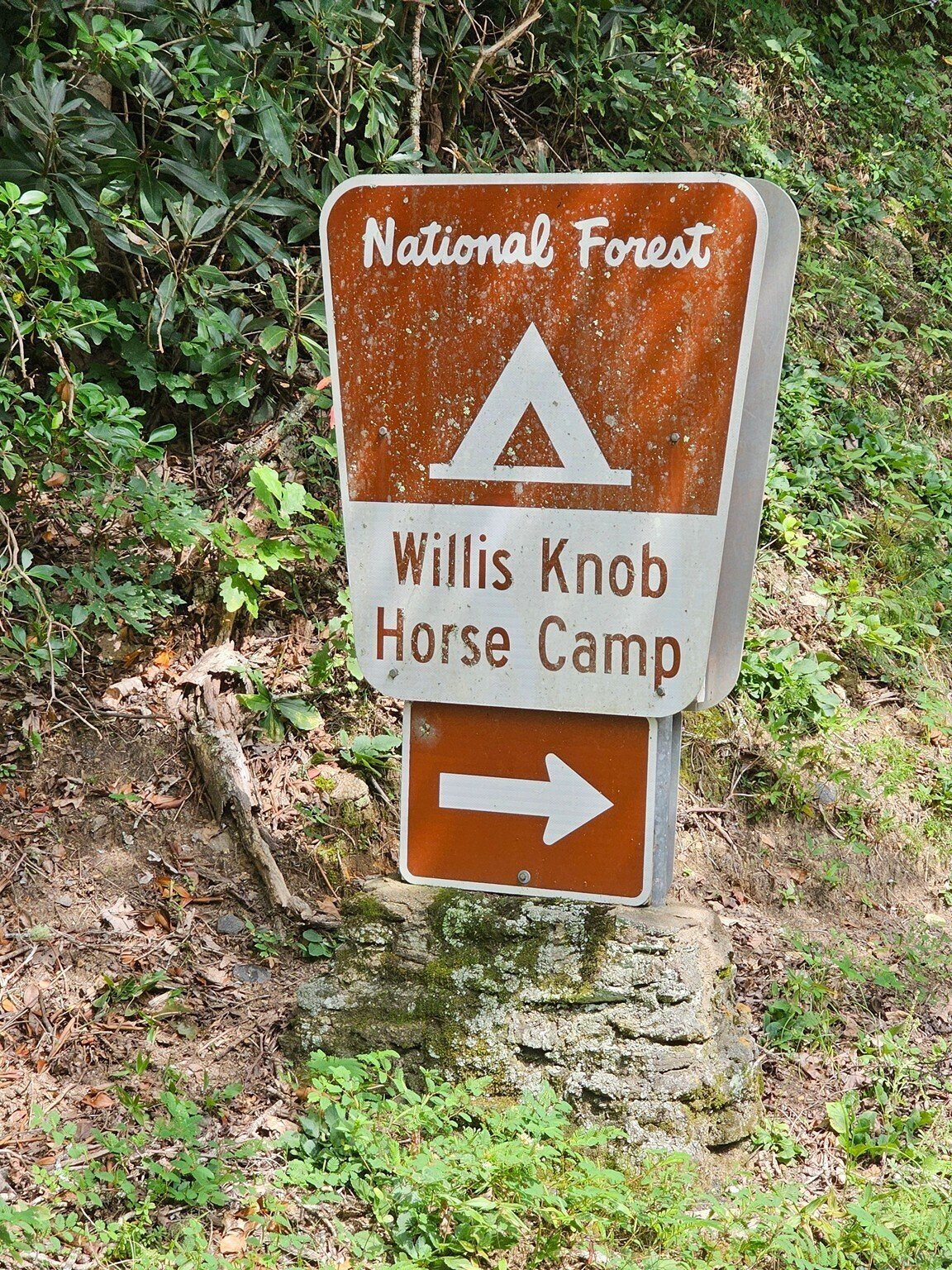 Turn here and follow Willis Knob Road to the trailhead.