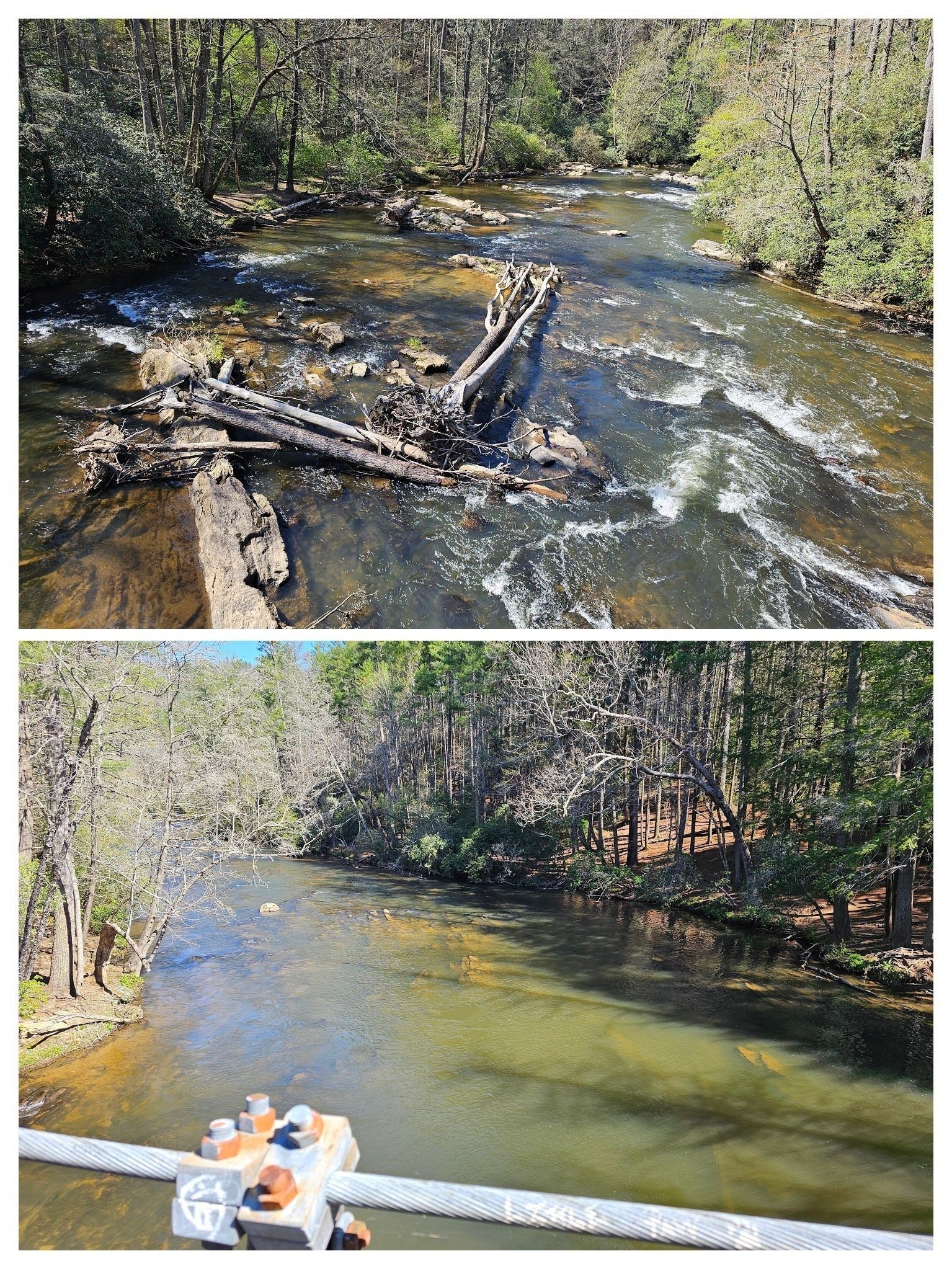 Views down and up the Toccoa River, known as the Ocoee River in Tennessee.
