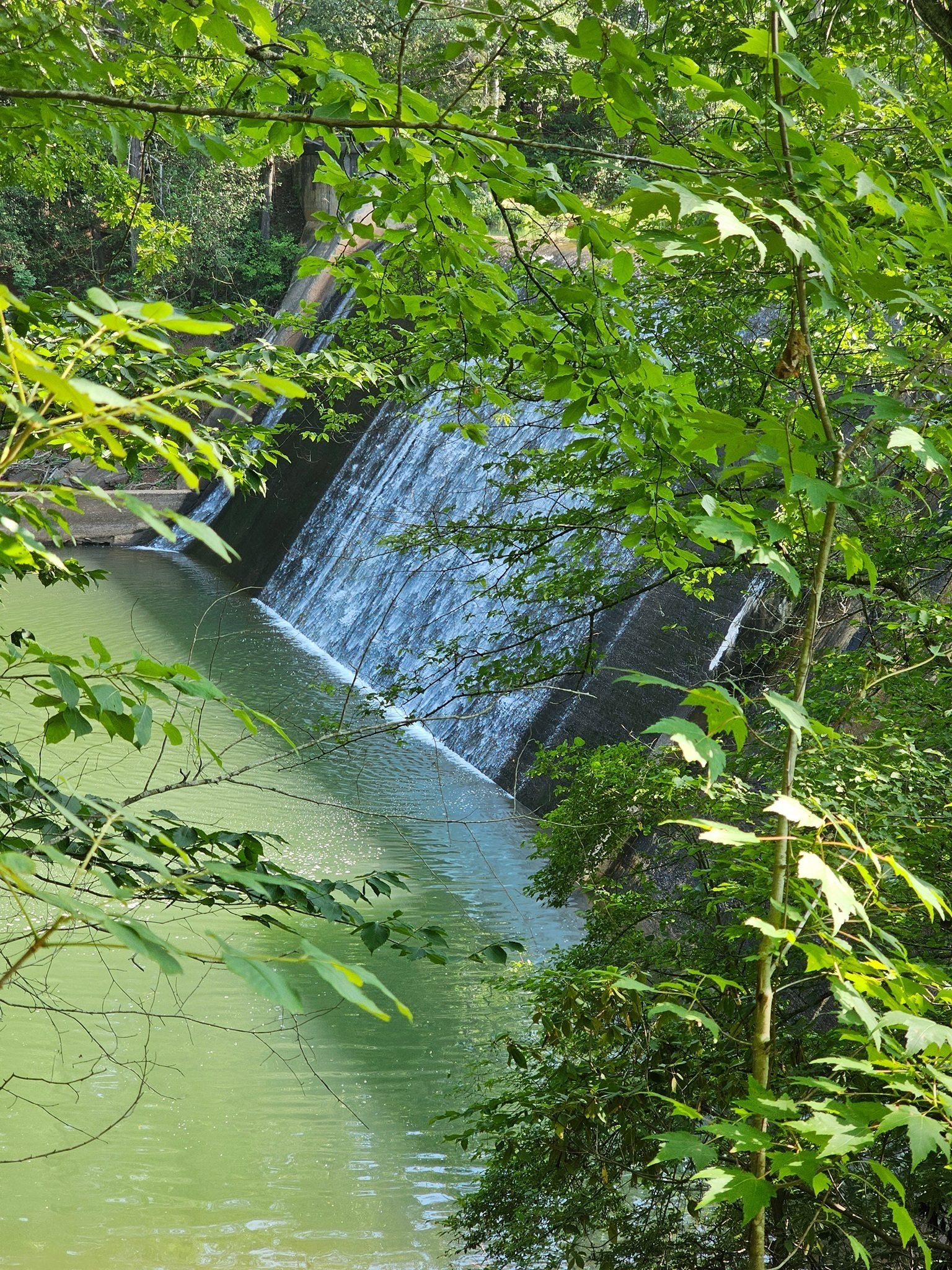 Here's the Issaqueena Lake Dam as it empties into Lake Hartwell.