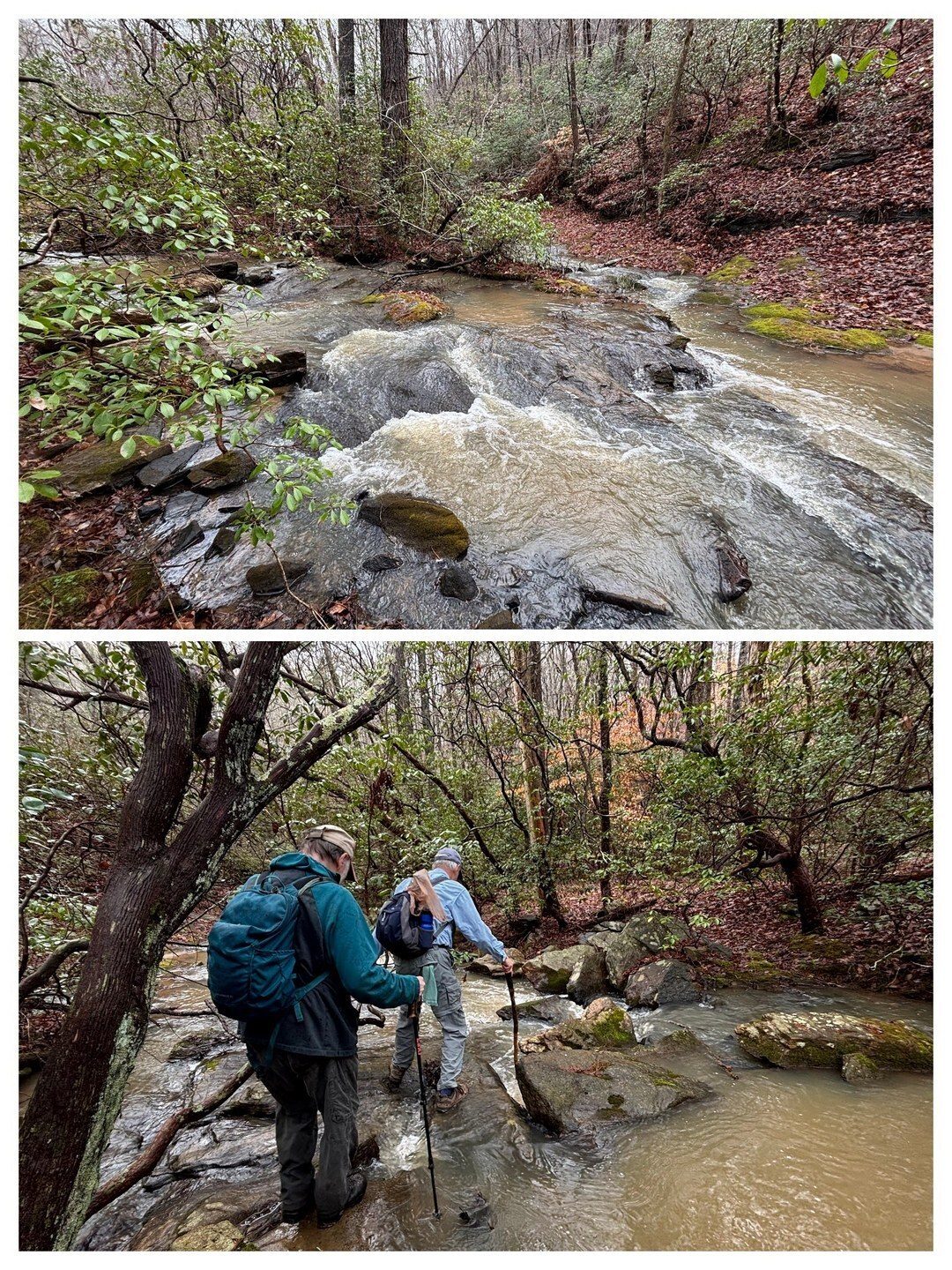 The trail was fading so we decided to cross the river. Oops, we're on an island, but getting off was worse. Both Jack and Mike fell. Photos by Heather Wall.