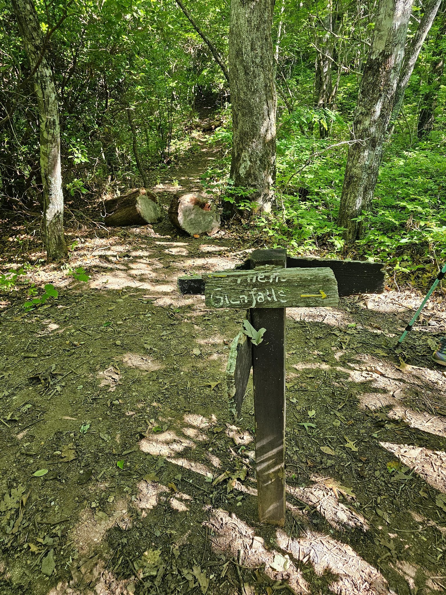 Little Scaly Mtn Trail crossed the old Chinquapin Trail coming in from NC Hwy 106, now blocked, but relocated further up Hwy 106.