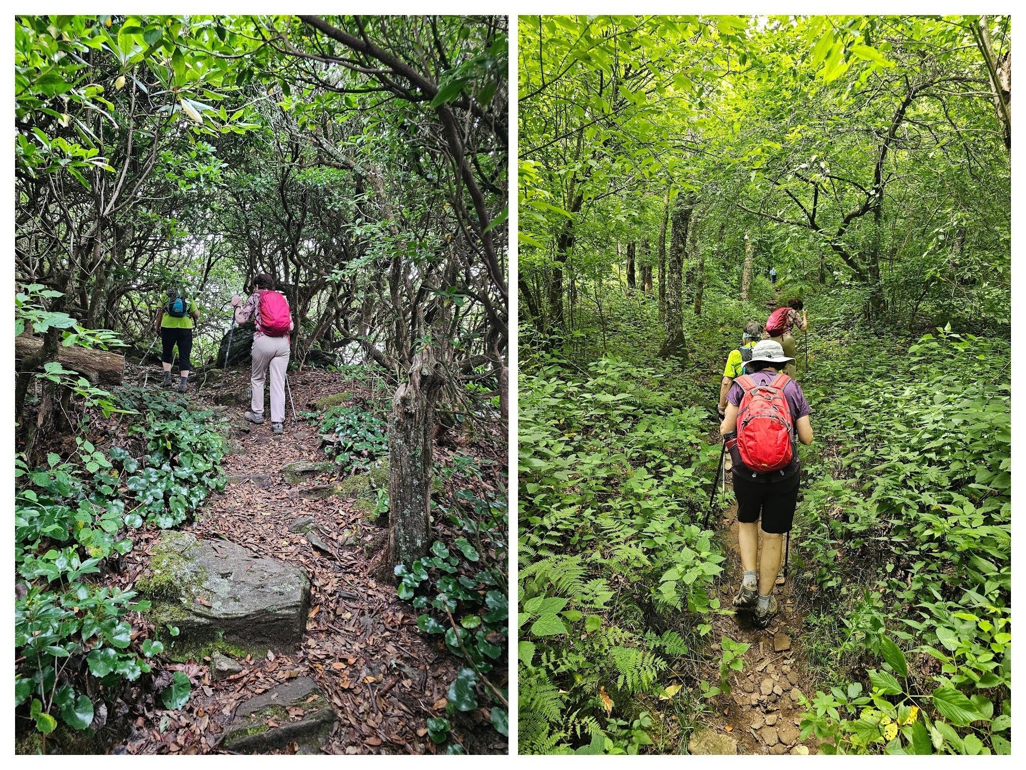 Headed back up Tray Mountain from the shelter before the final long hike down.