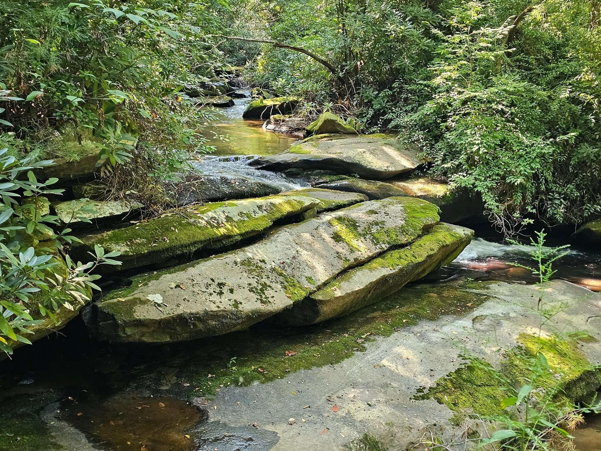 Similar scenic Mud Creek views are found  all along the trail.