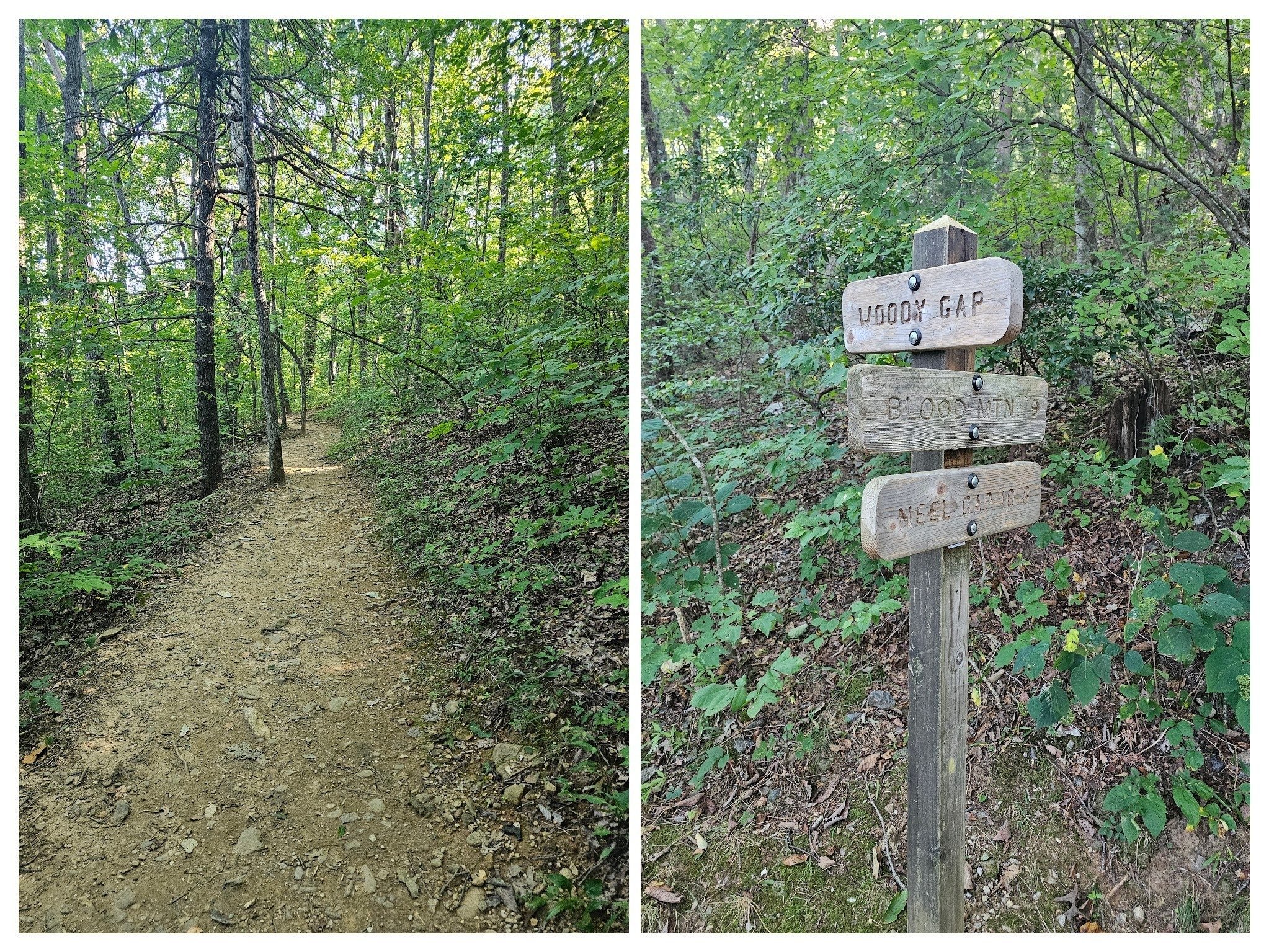 The AT was the best kept section of this hike and not that steep either.