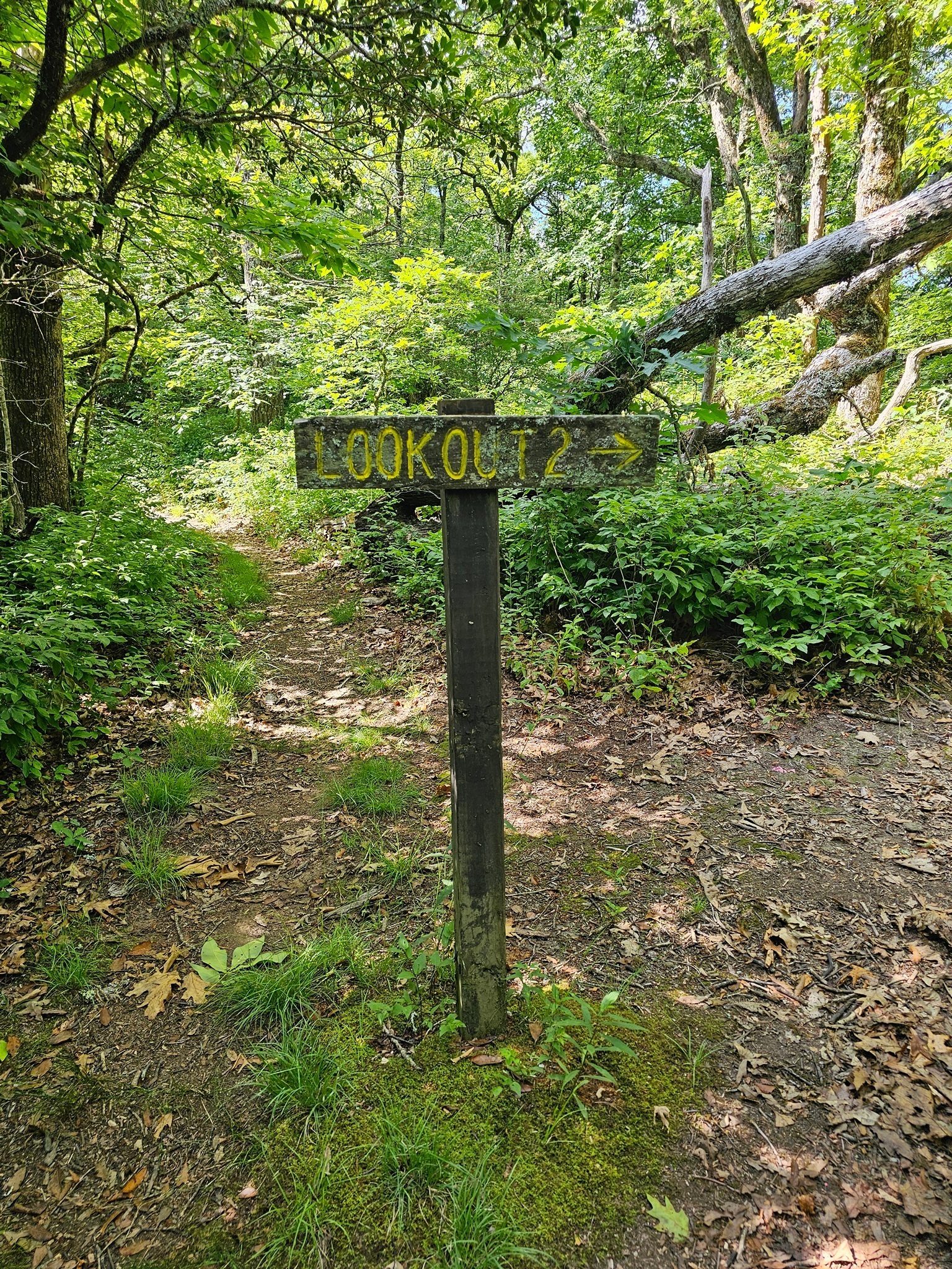 Overlook #2 is a short walk off the main trail.