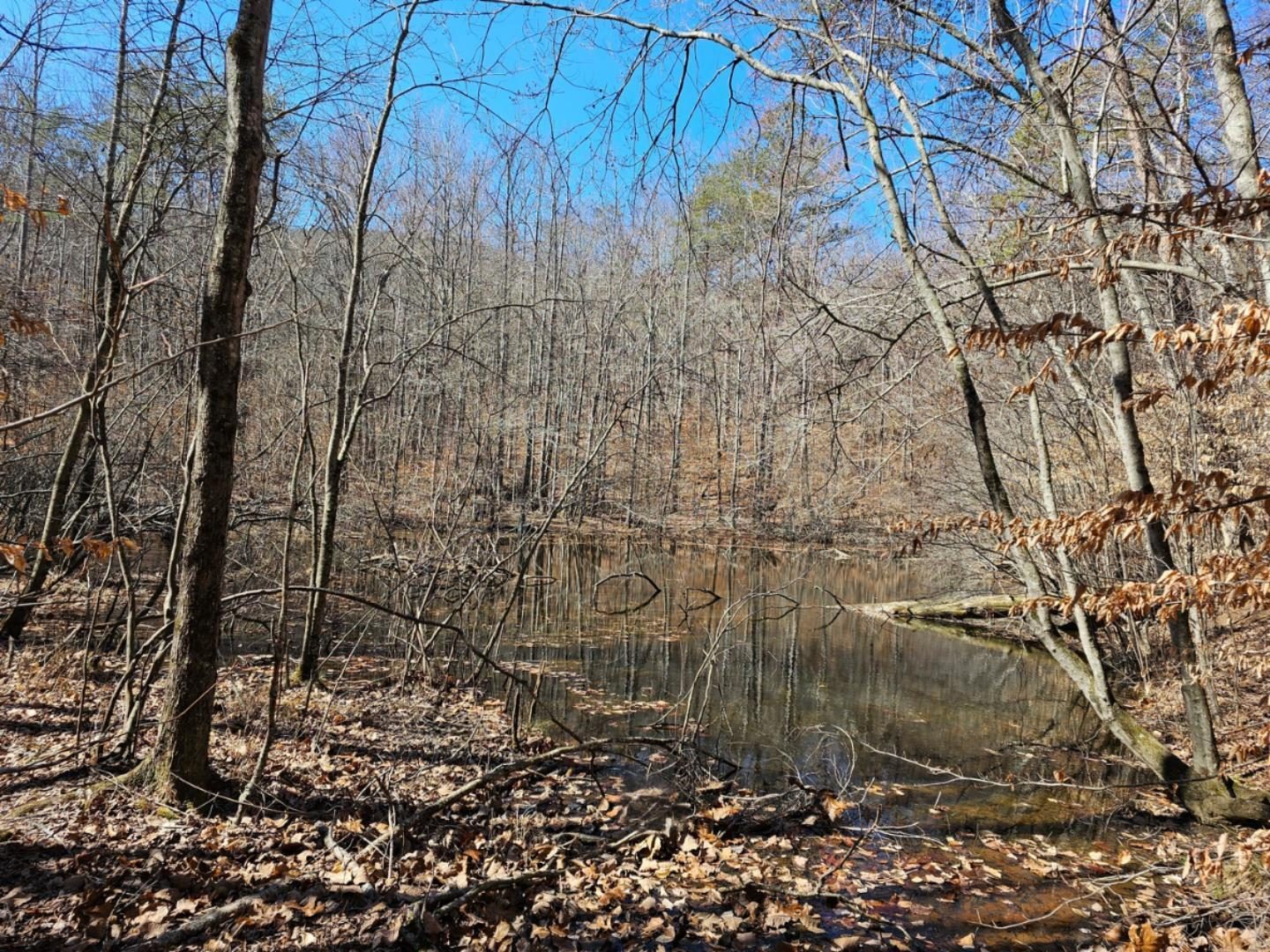 A small pond on our return leg of the main loop hike.
