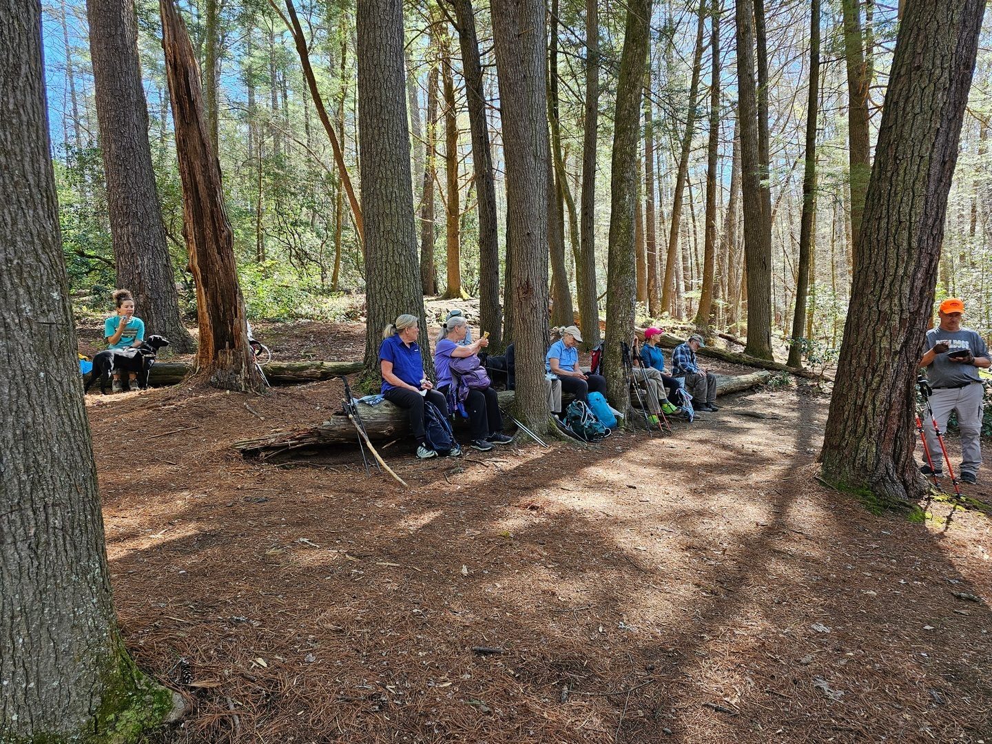 Lunch time on the south shore.