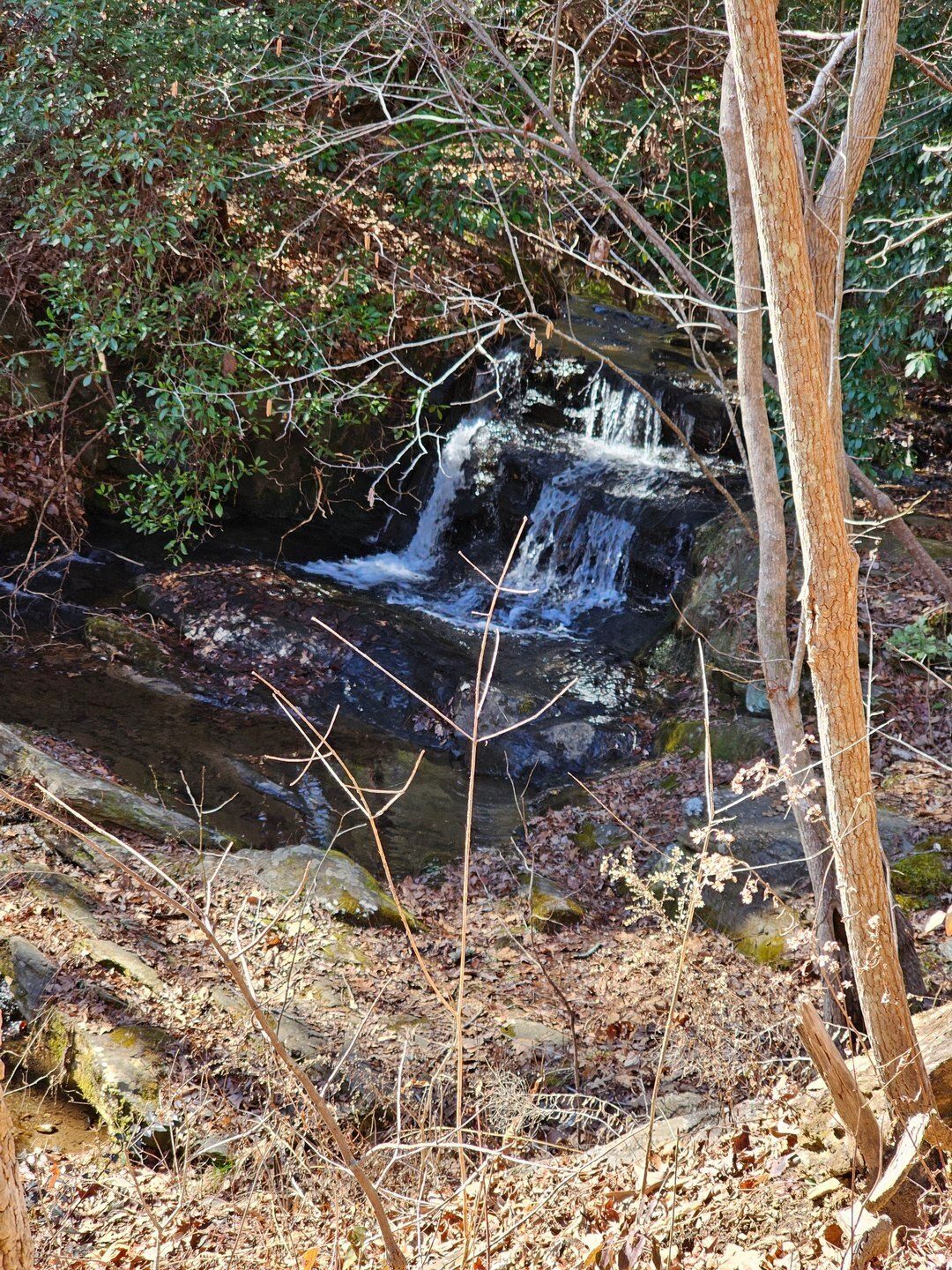 A small falls/cascade above Tabor Falls.