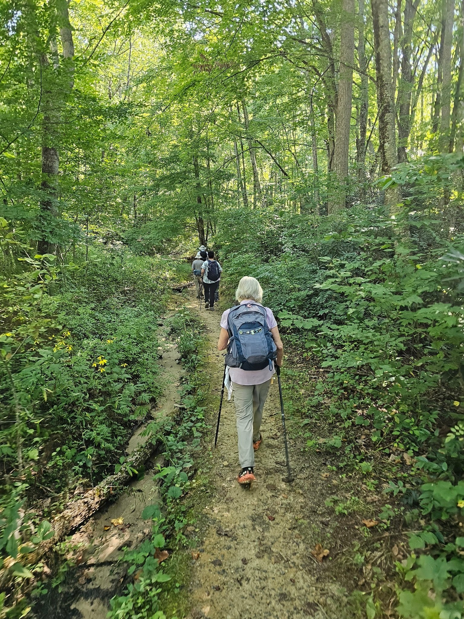 The initial path is a single hiker trail, but in fair shape.