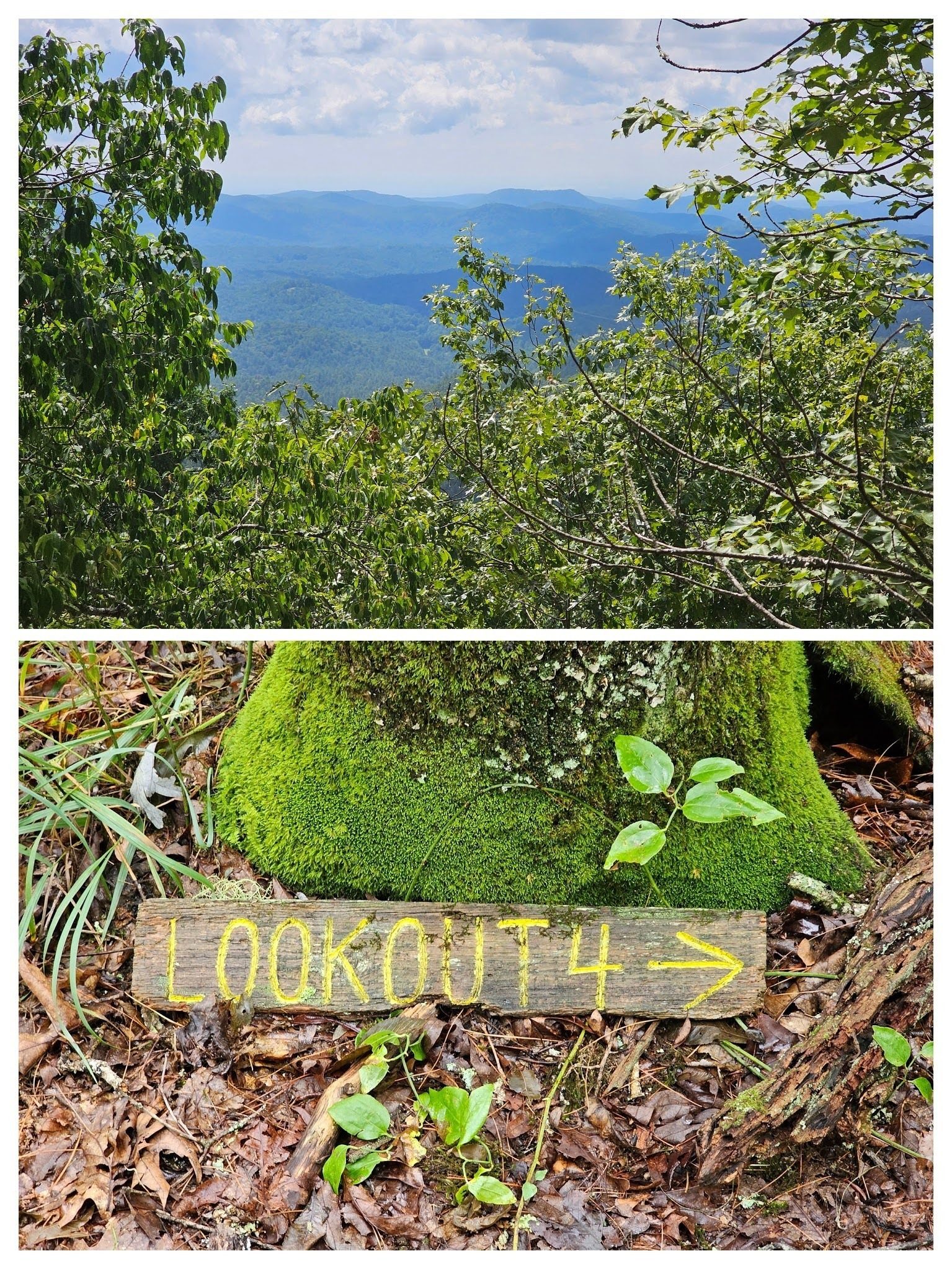 Lookout #4 was an easy, short walk off the trail, but did require walking down the rock face a bit more to get the best view to the east.