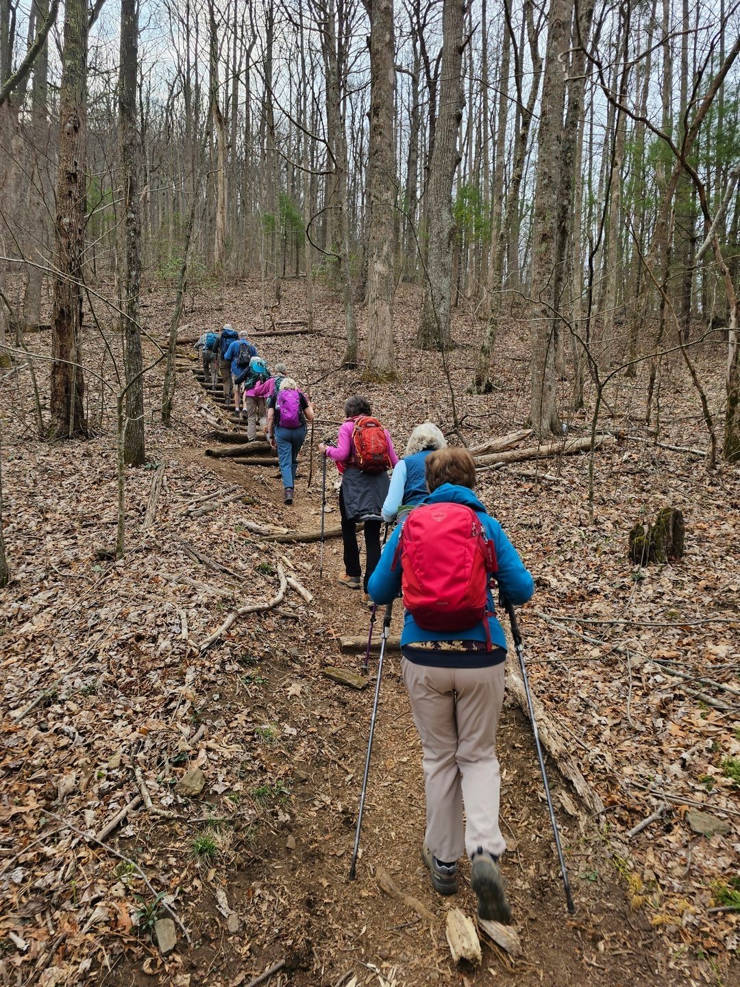 Up we go.  Still no significant leafing-out of the deciduous trees and shrubs at this time.