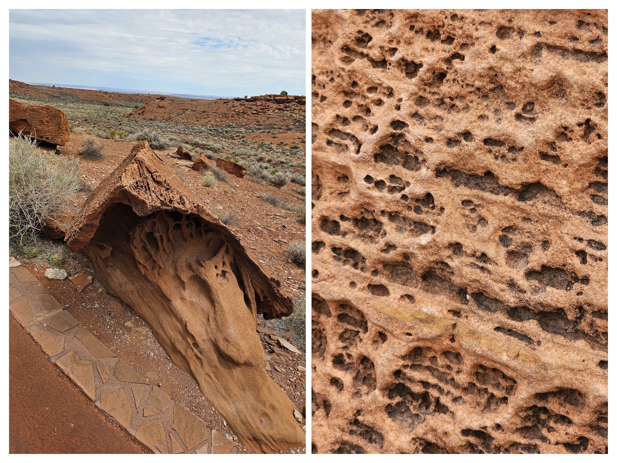 This "swiss-cheese" texture on sandstone is known as honeycomb weathering or tafoni being formed through a gradual, repetitive breakdown, not air holes.