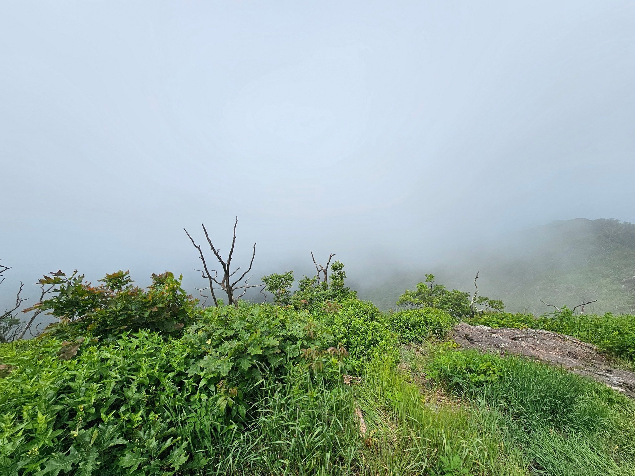 No vistas from Standing Indian, but it was still a good hike.