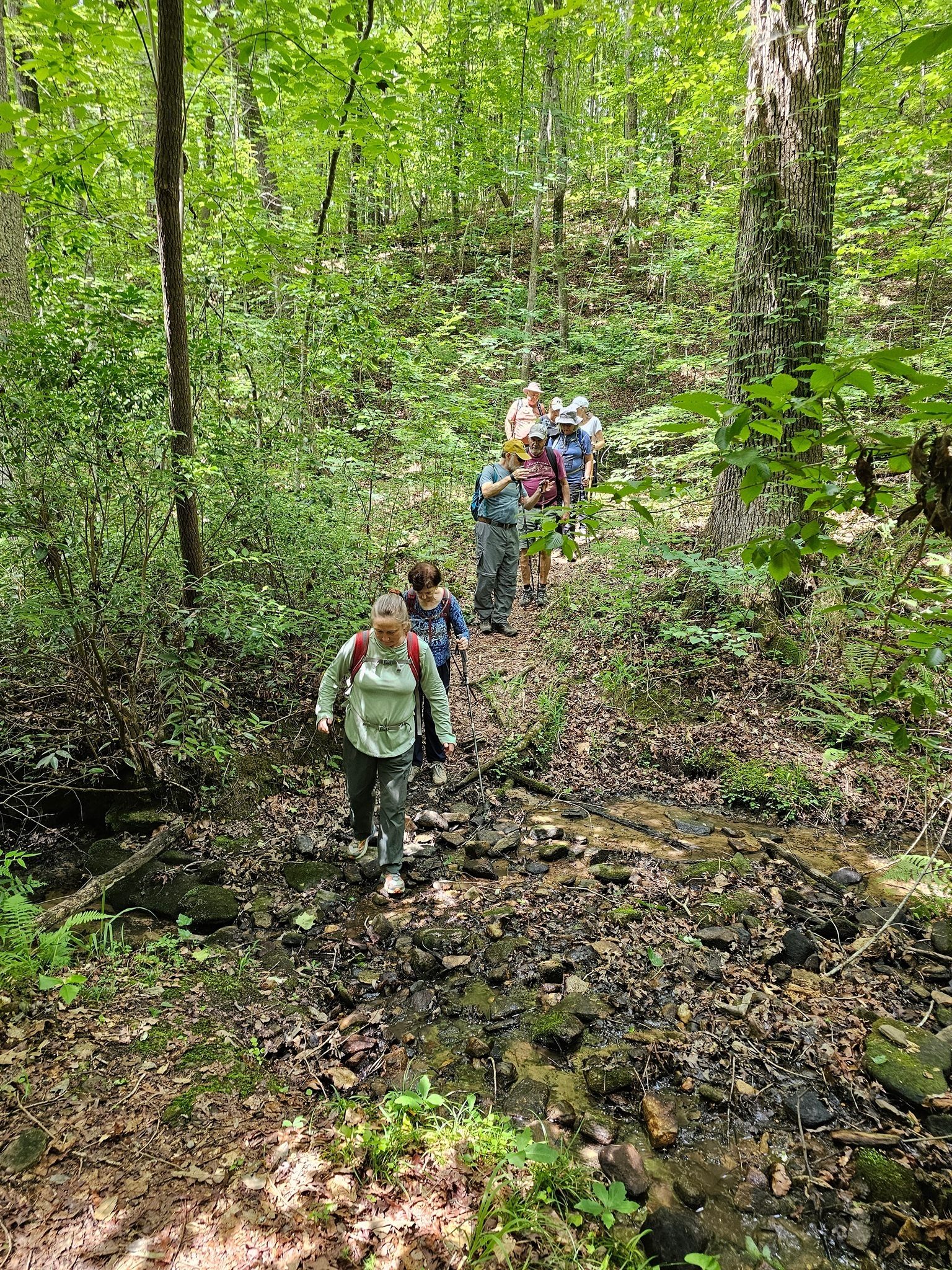 Crossing Dead Man Creek on a short hike up Dead Man's Trail toward Toccoa Fall College, but still on National Forest property.