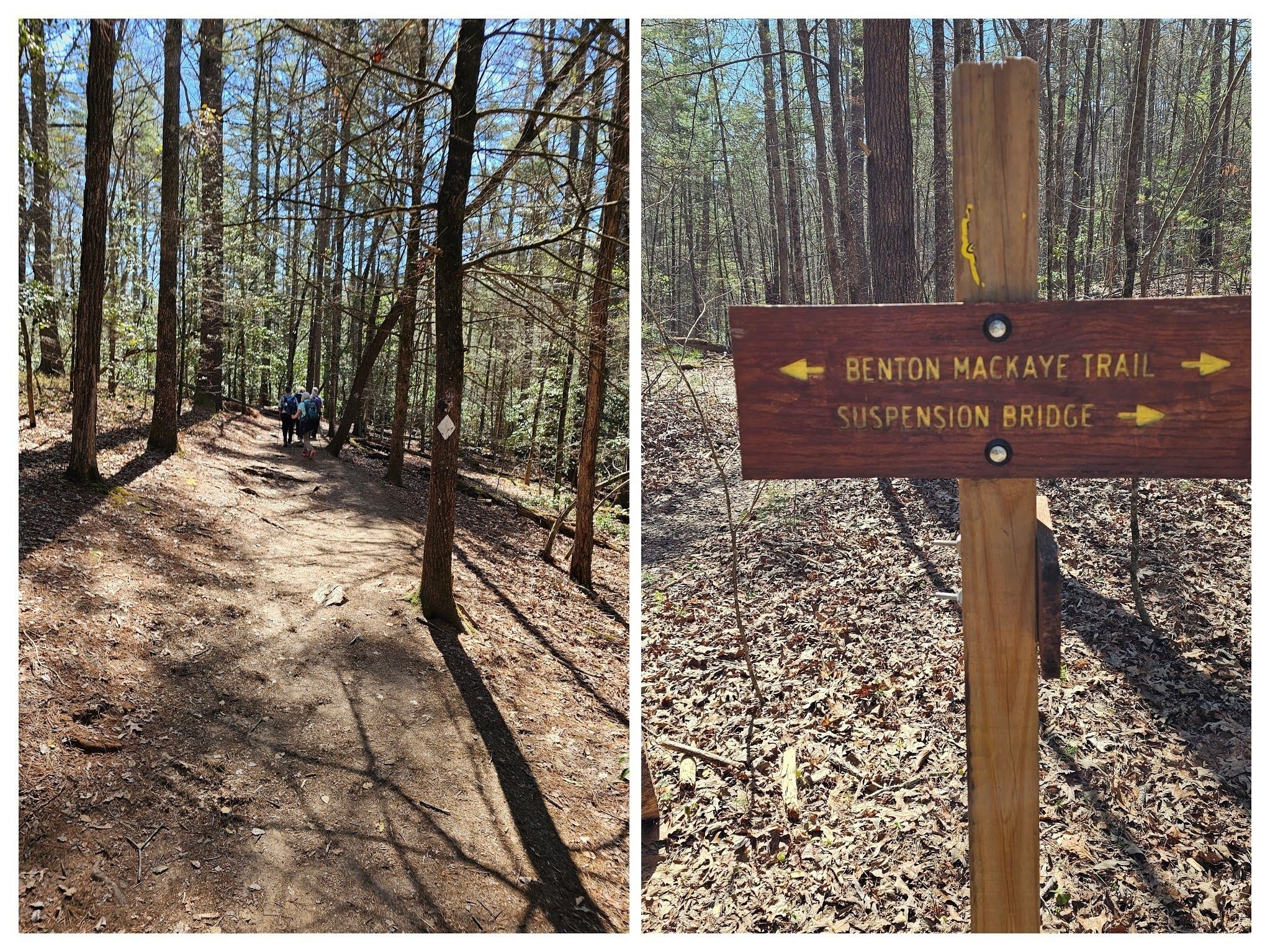 At this point near the public parking for the bridge, the trail shows much heavier use.