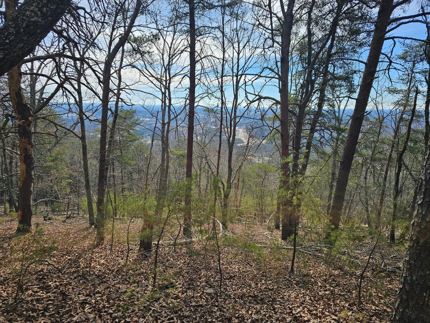 Looking toward the southeast and Cumming.