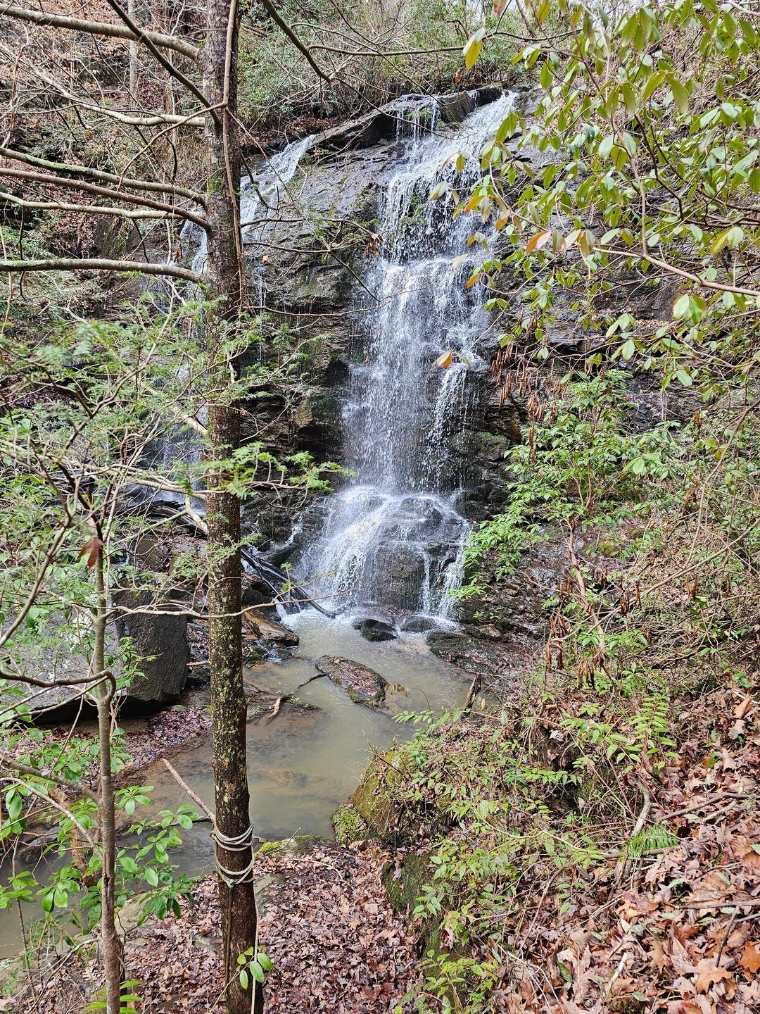 At the bottom of 50-foot Tabor Falls, really impressive, but a steep scramble in and out.
