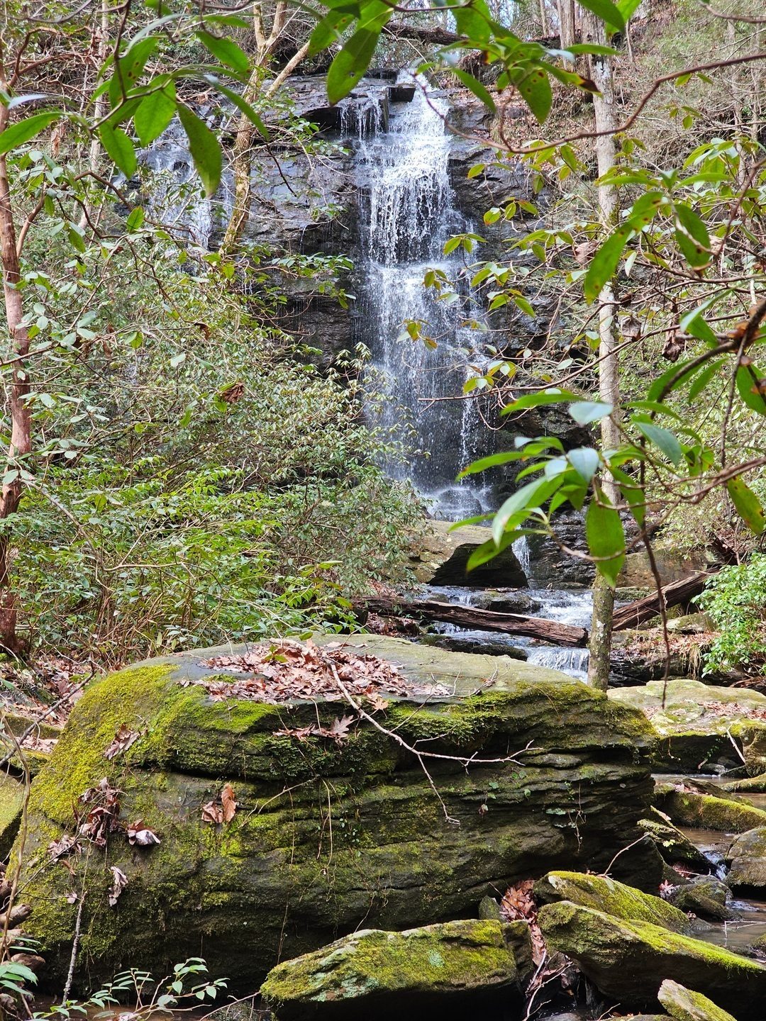 Another view of Tabor Falls, 150 feet down the creek.