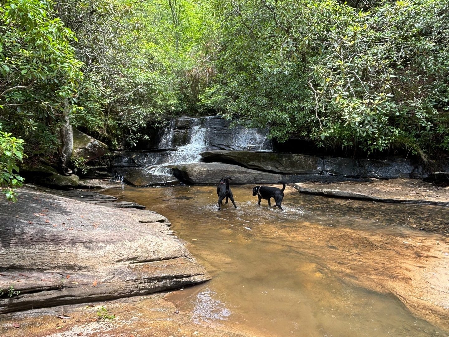 We make a stop at Poe Creek Falls where these best of friends enjoy a few minutes in the water. Photo by Heather Wall.