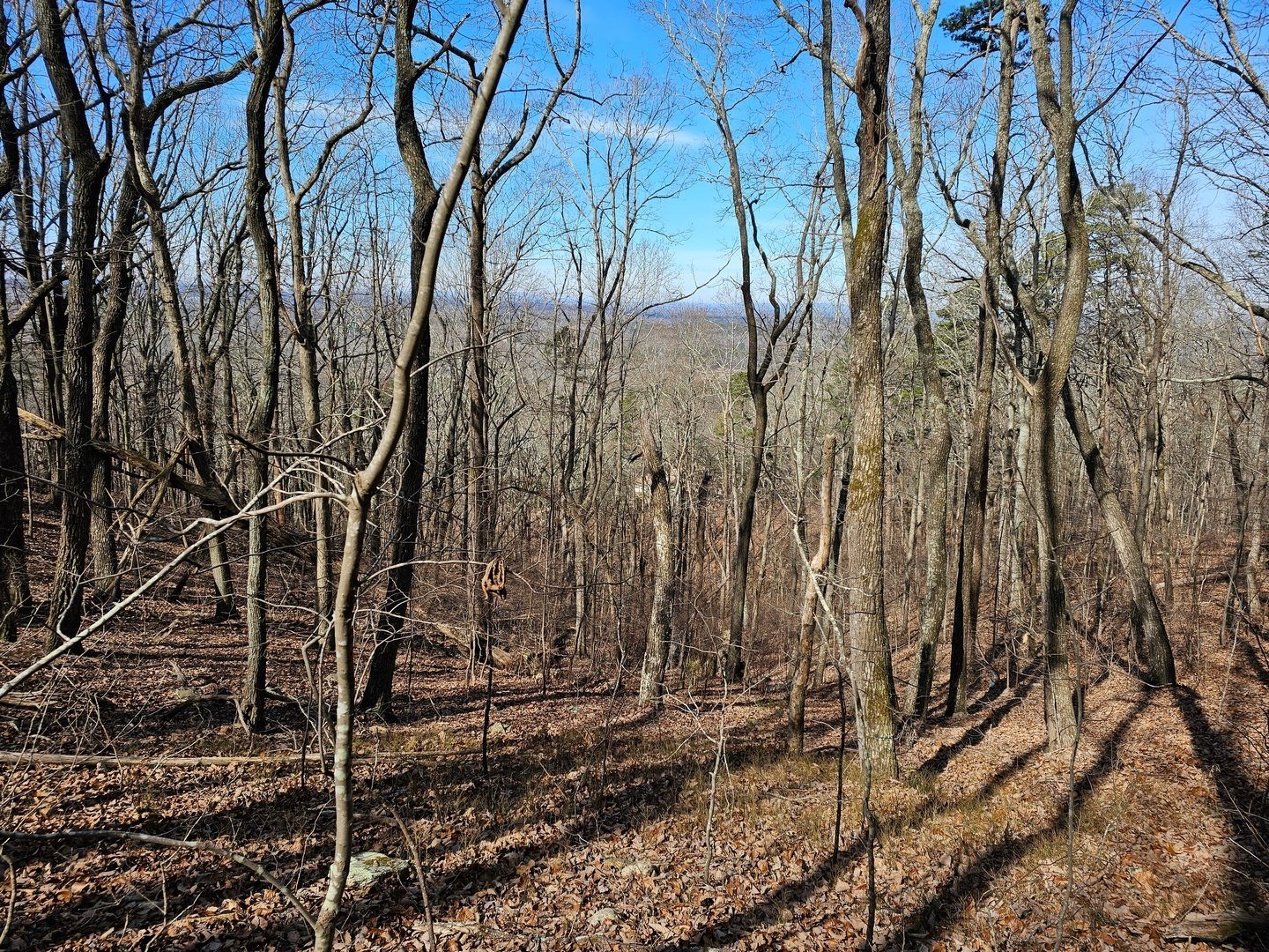 Looking toward the northwest from the Mountainside Trail is a bit more picturesque.