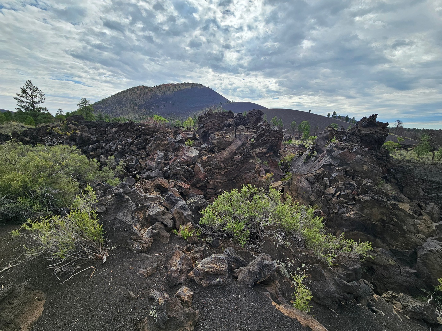 Sunset Crater looking east from the end of the Bonito Trail