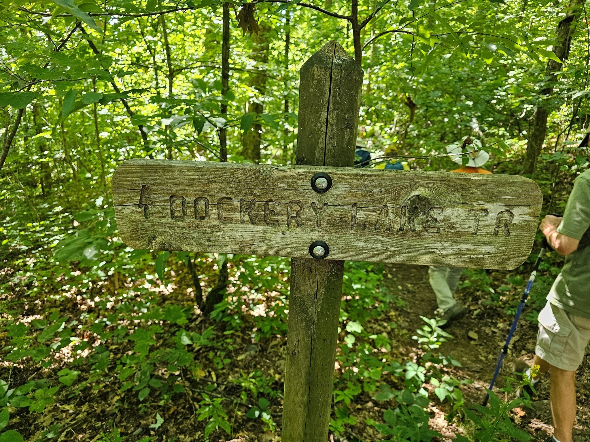 We start the second leg of our hike at Miller Gap down to Dockery Lake.