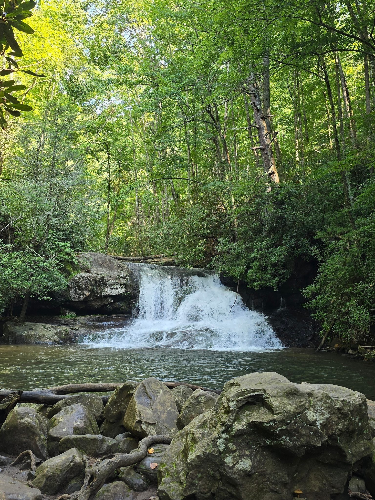 Finally at Hemlock Falls.  A nice pool, but a bit too cold for a wade.