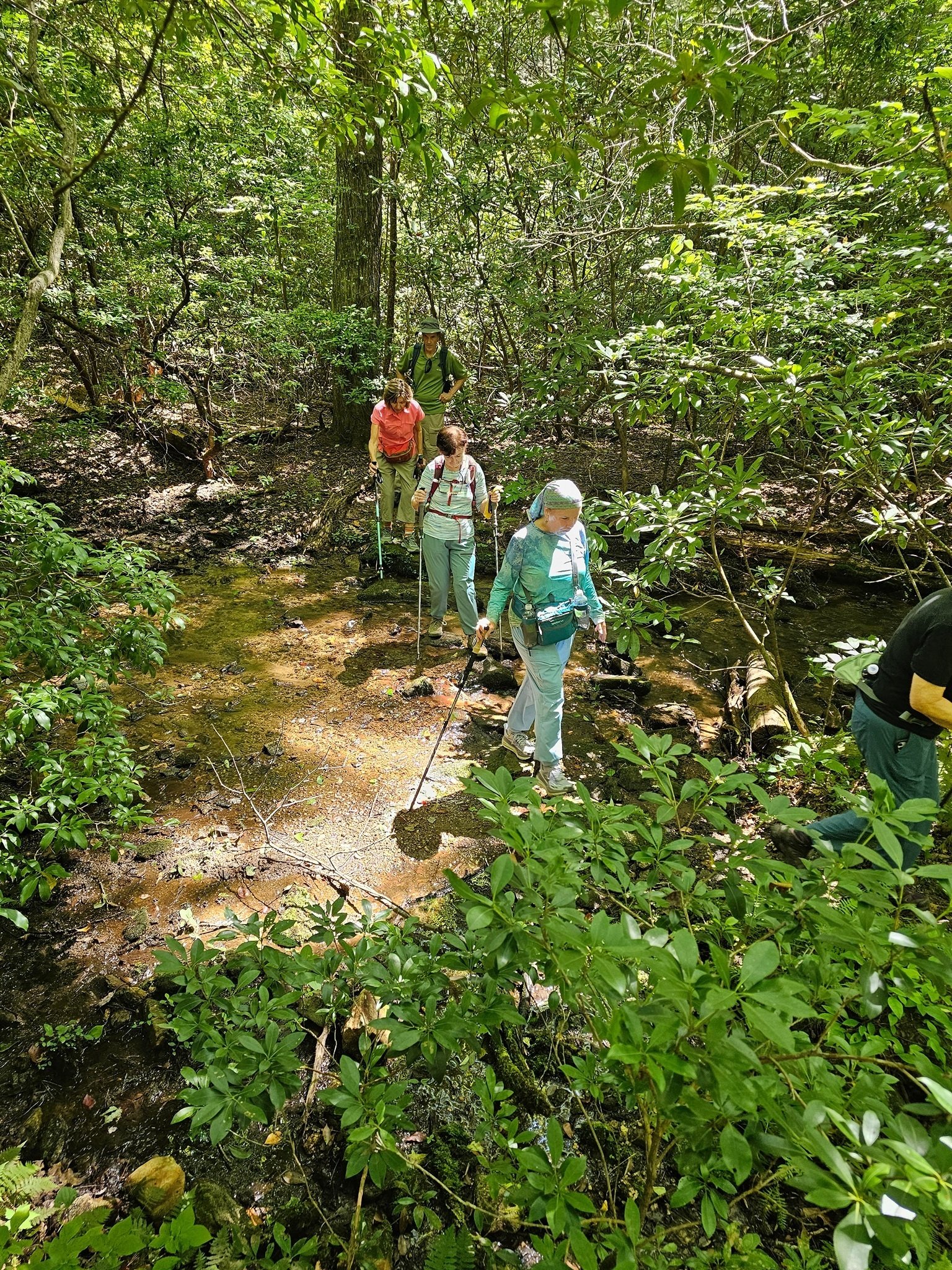 Occasionally we have to rock-hop over a few wet crossings, this at Pigeon Roost Creek being the largest of them.