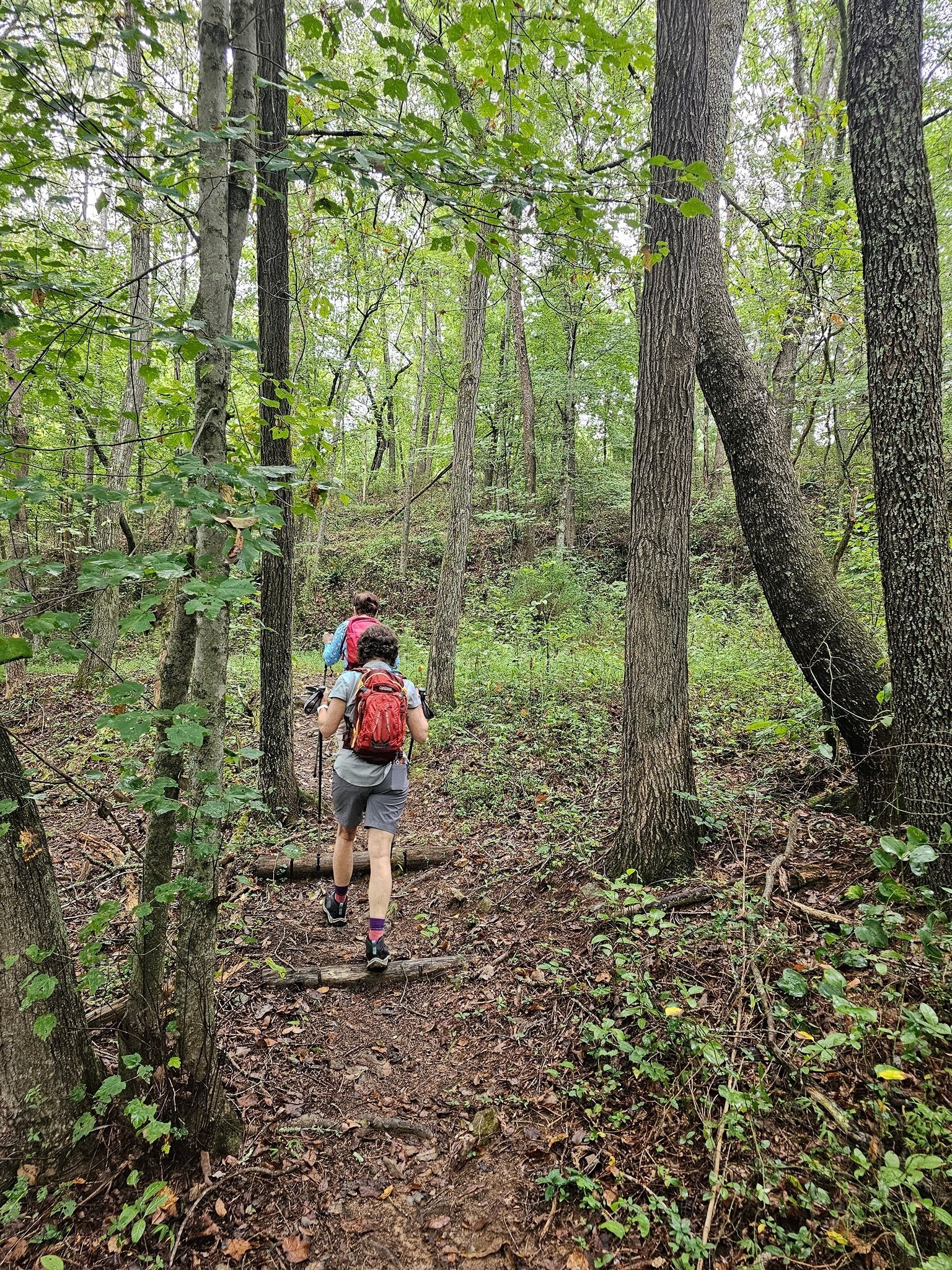 Headed on the back, north, side of this loop.