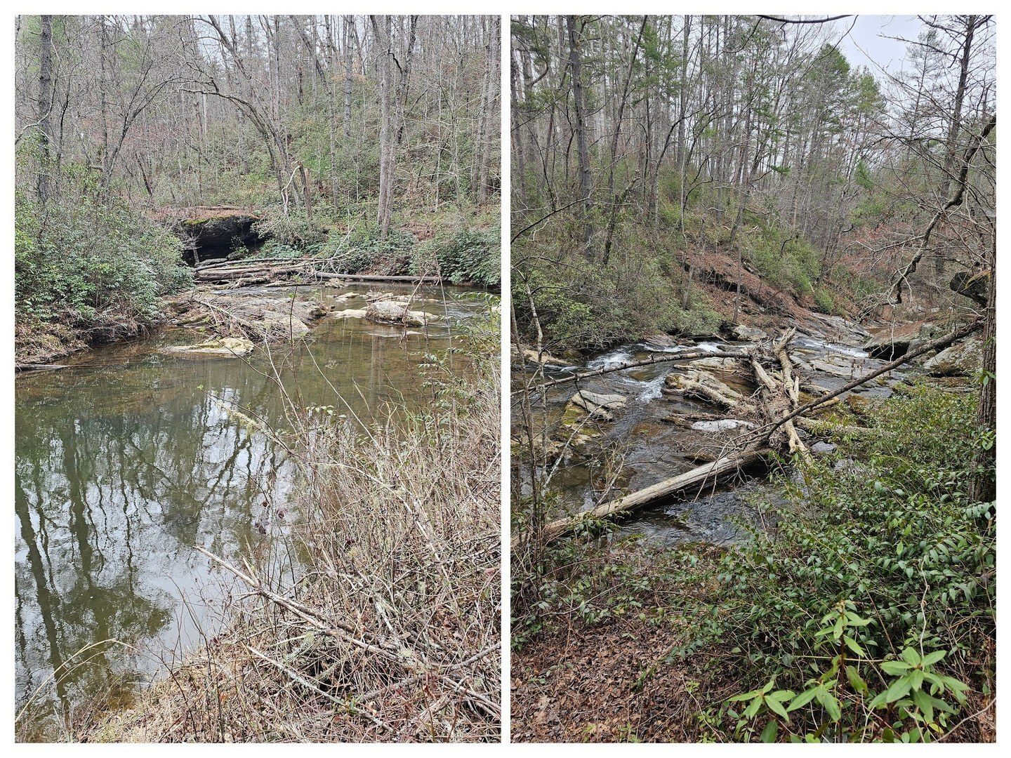Views of Panther Creek just as we start down the Panther Creek Trail.