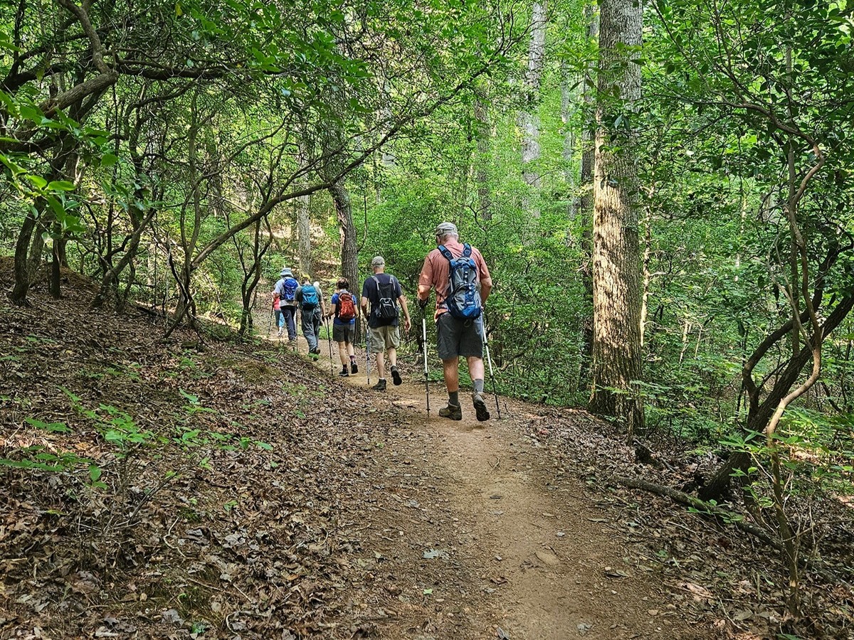 Pretty good trail
