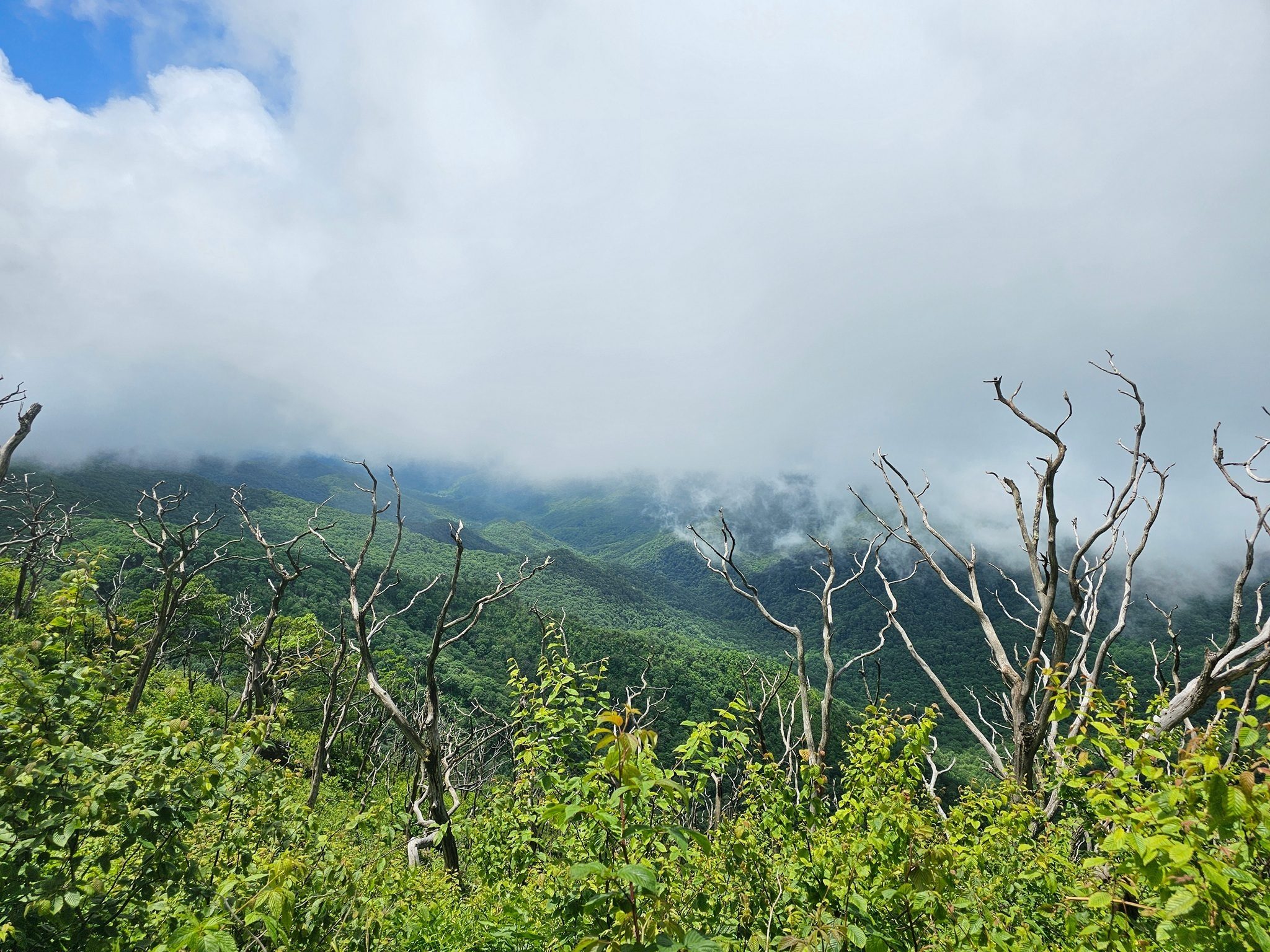 This photo shows the historic (2016???) fire damage to the area approaching Standing Indian.