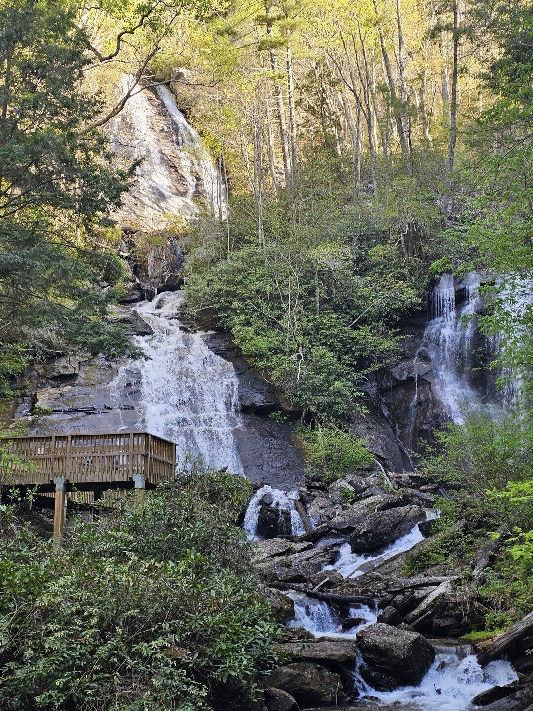 Lots of water across Anna Ruby Falls despite a regional drought.