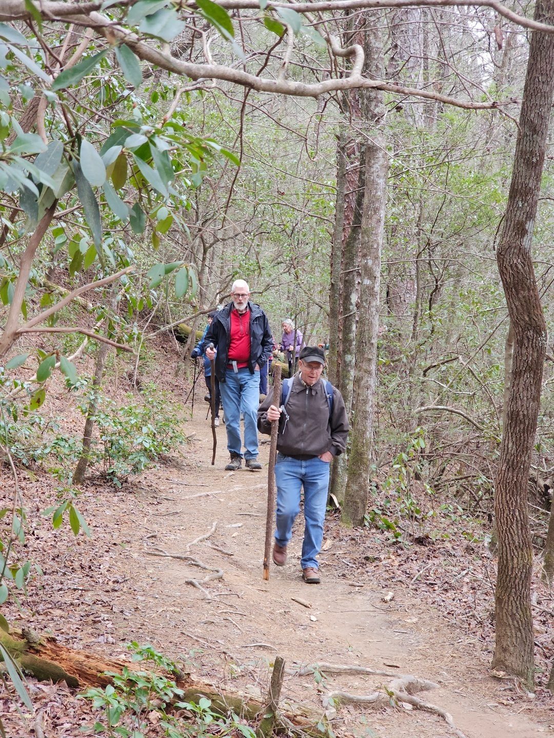 The trail doesn't look too bad here though.